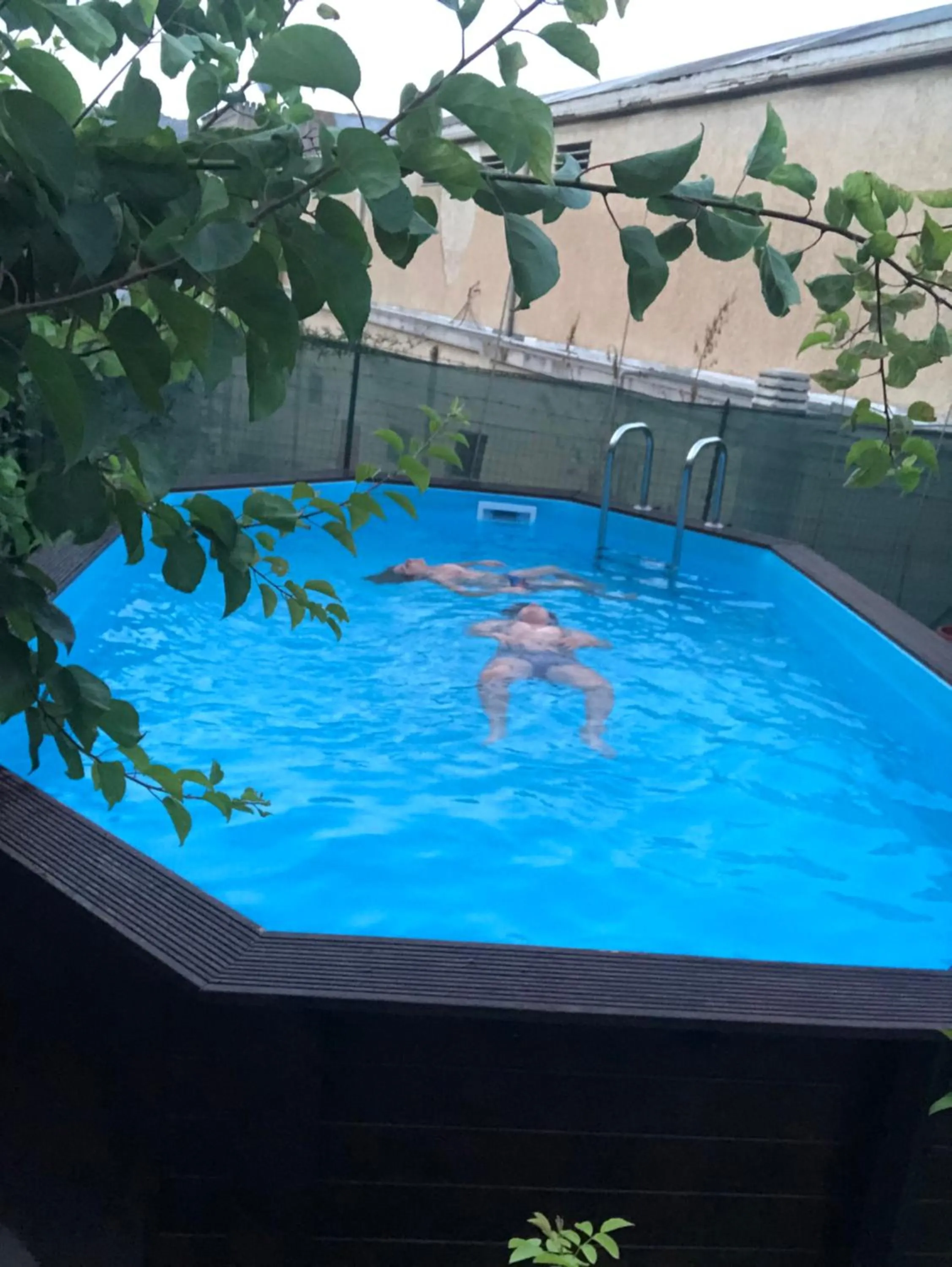 Swimming pool in Al Qatta Bed & Breakfast