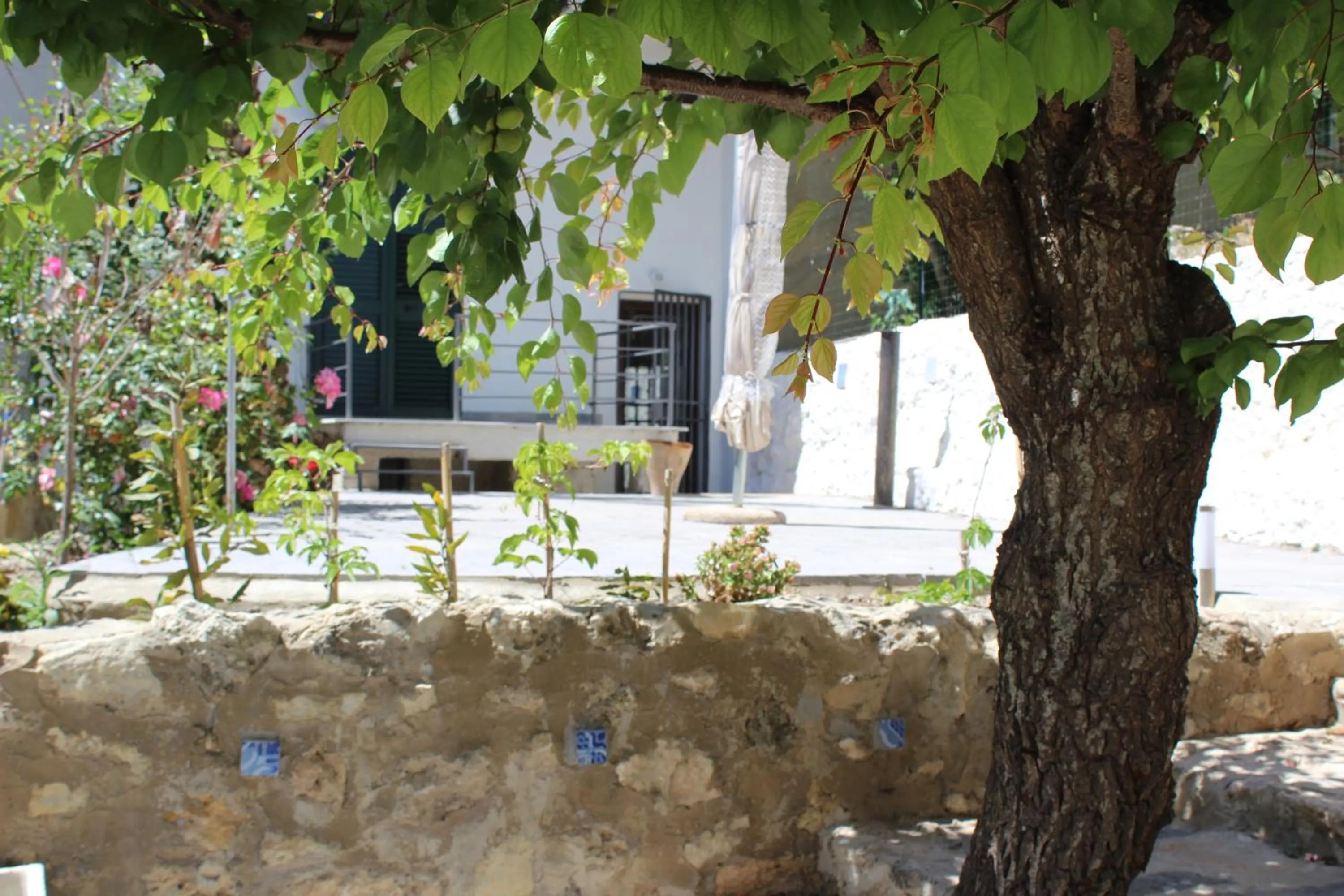 Garden in Al Qatta Bed & Breakfast