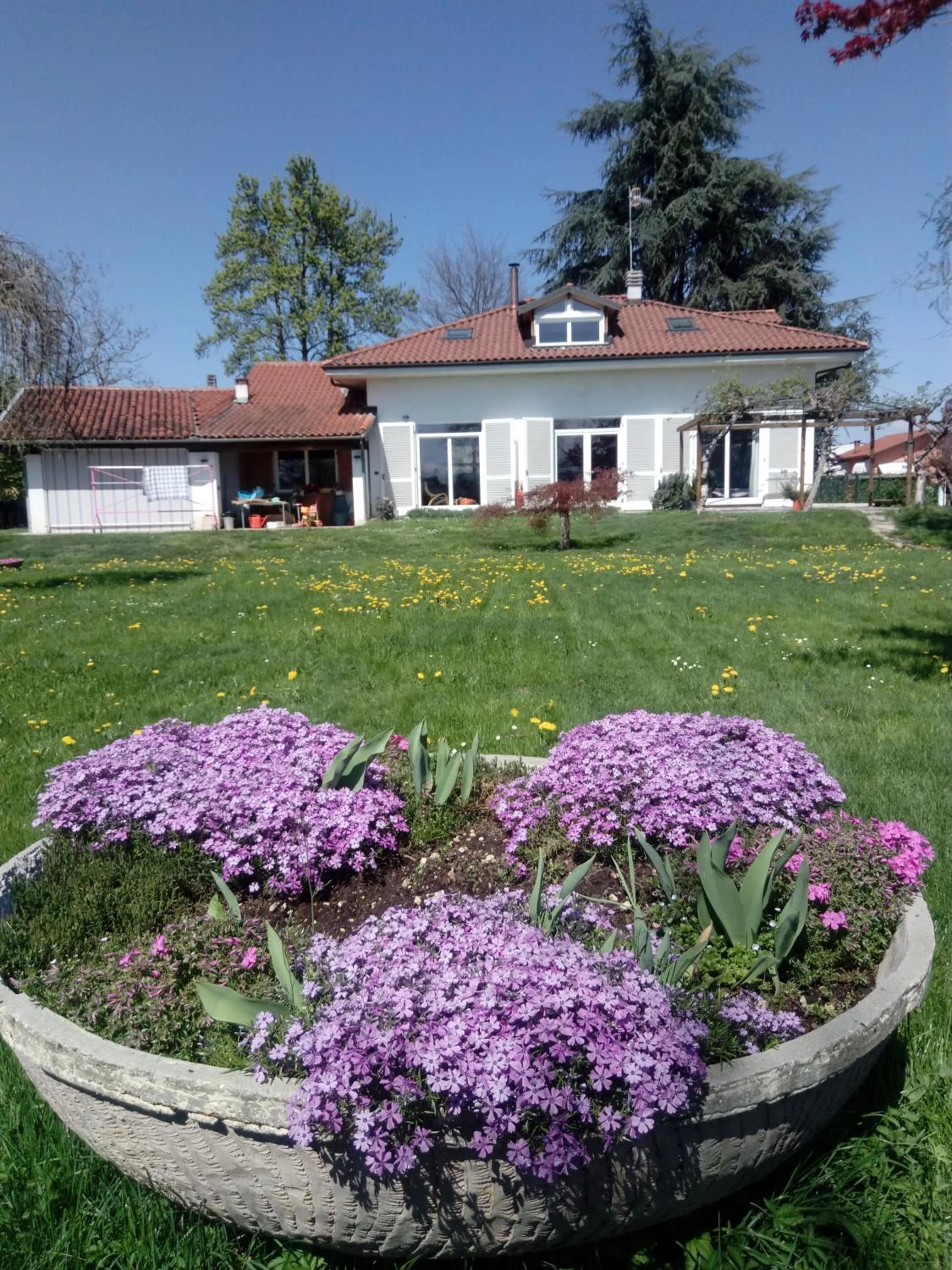 Patio in B&B Casa Danoi