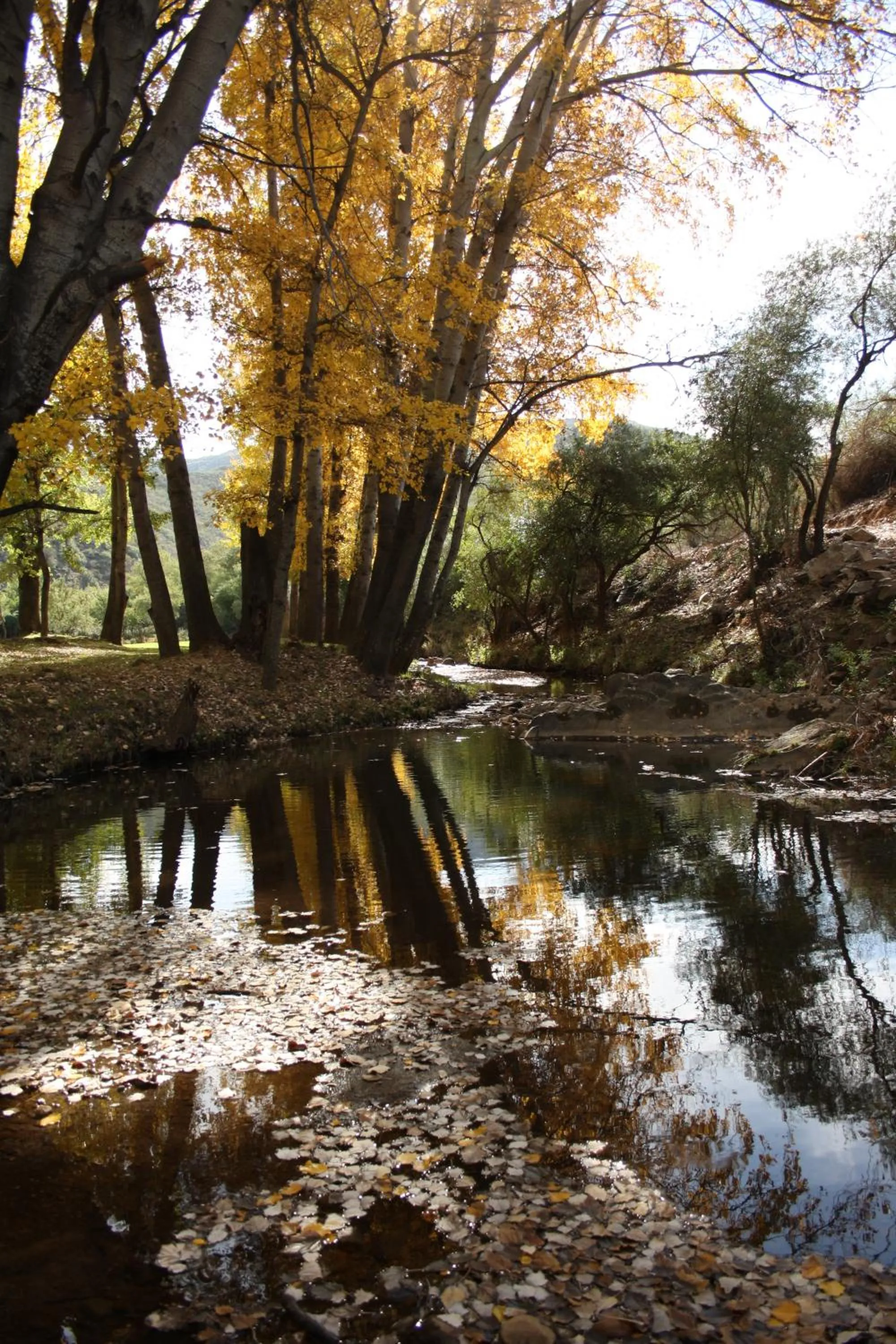 River view in Wildehondekloof Game Lodge