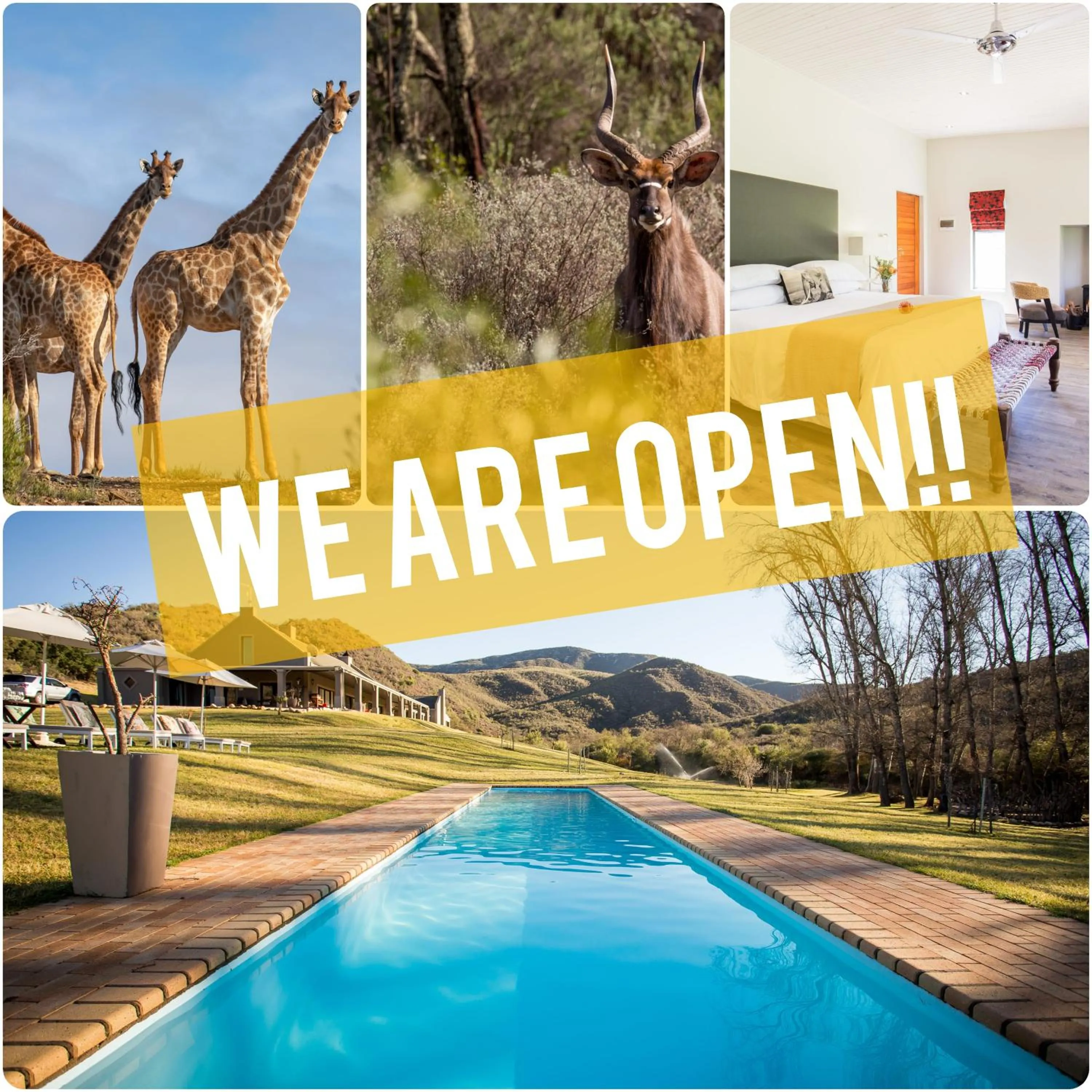 View (from property/room) in Wildehondekloof Game Lodge