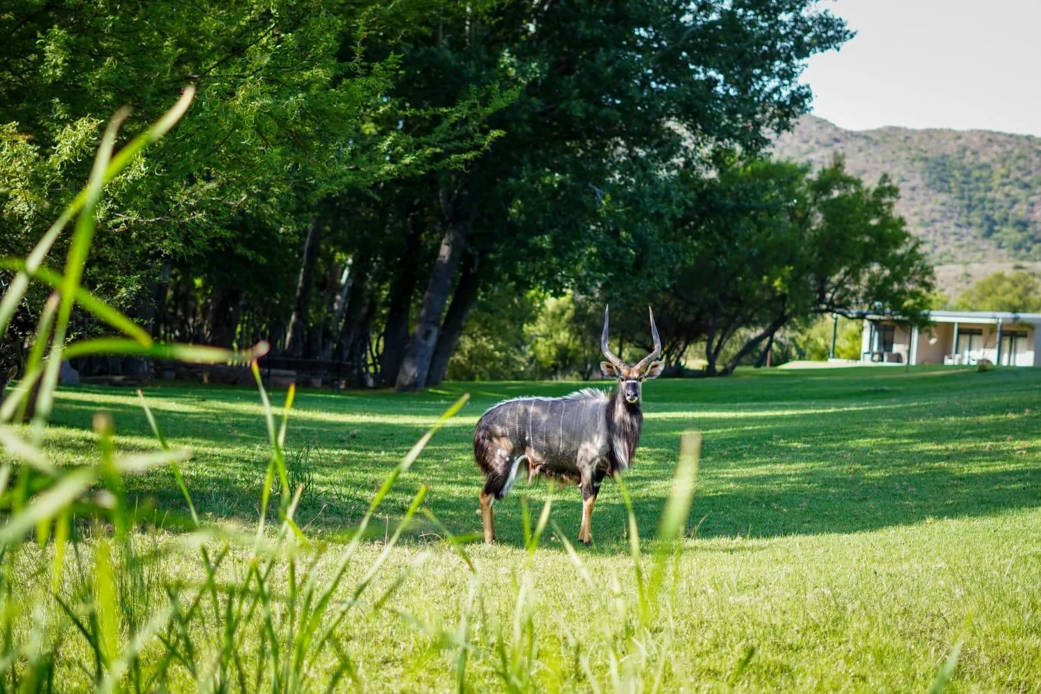 View (from property/room) in Wildehondekloof Game Lodge