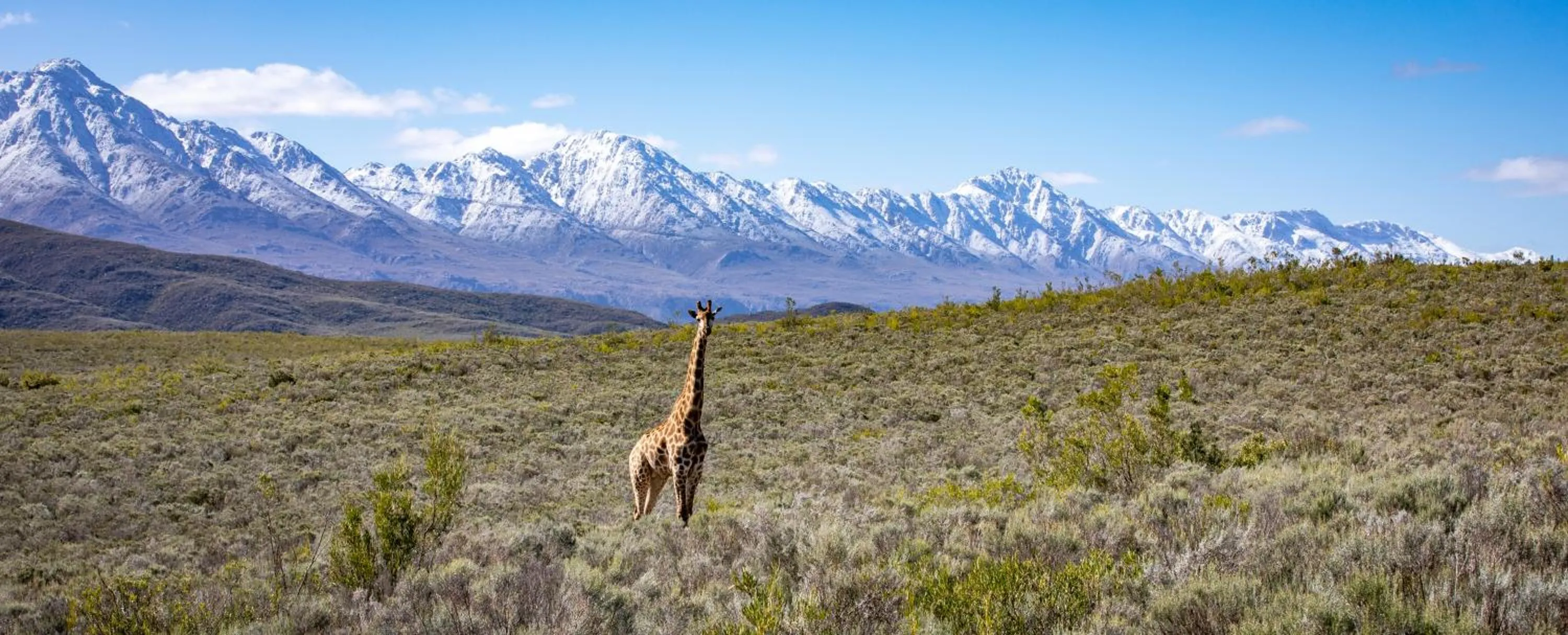 Natural landscape in Wildehondekloof Game Lodge