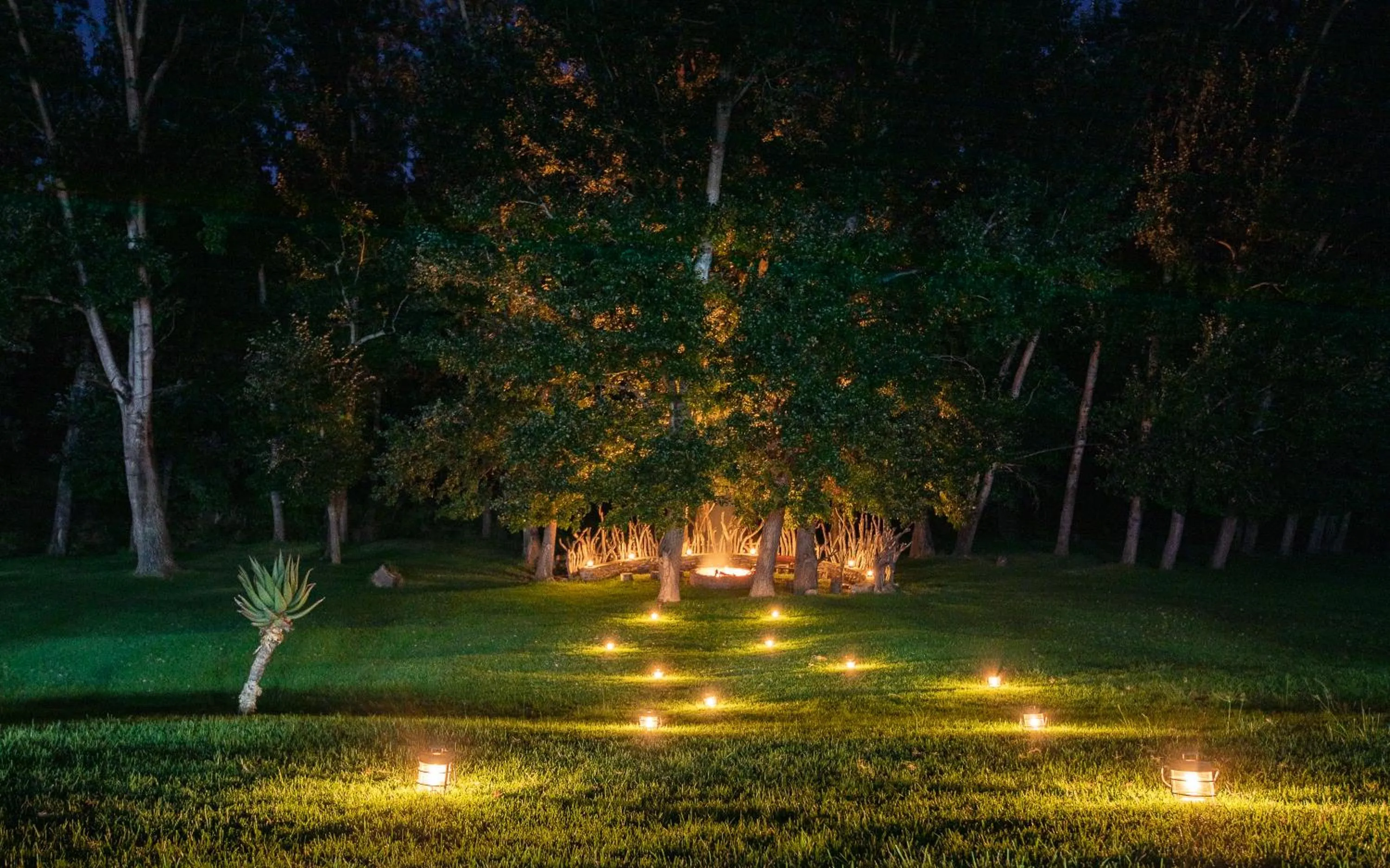 Natural landscape in Wildehondekloof Game Lodge