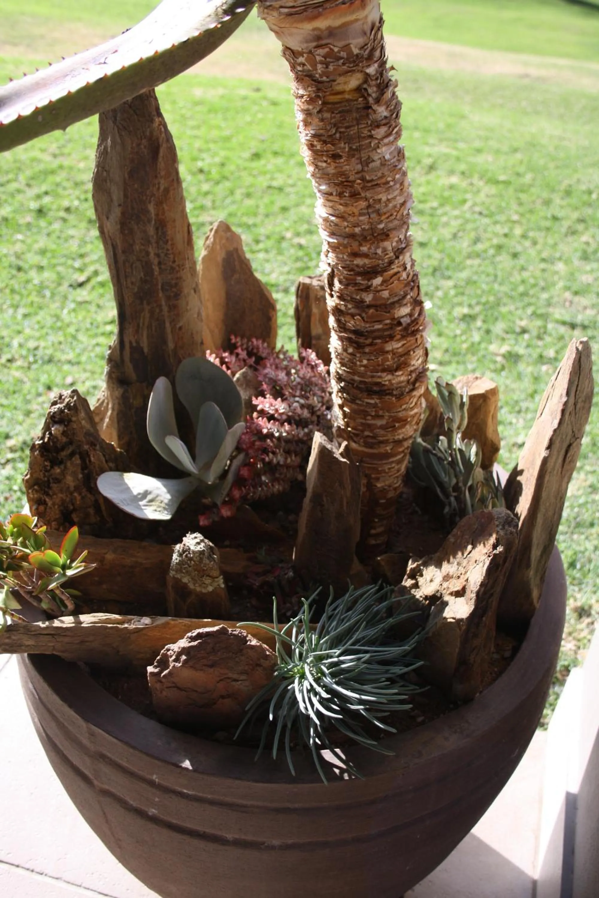 Decorative detail in Wildehondekloof Game Lodge