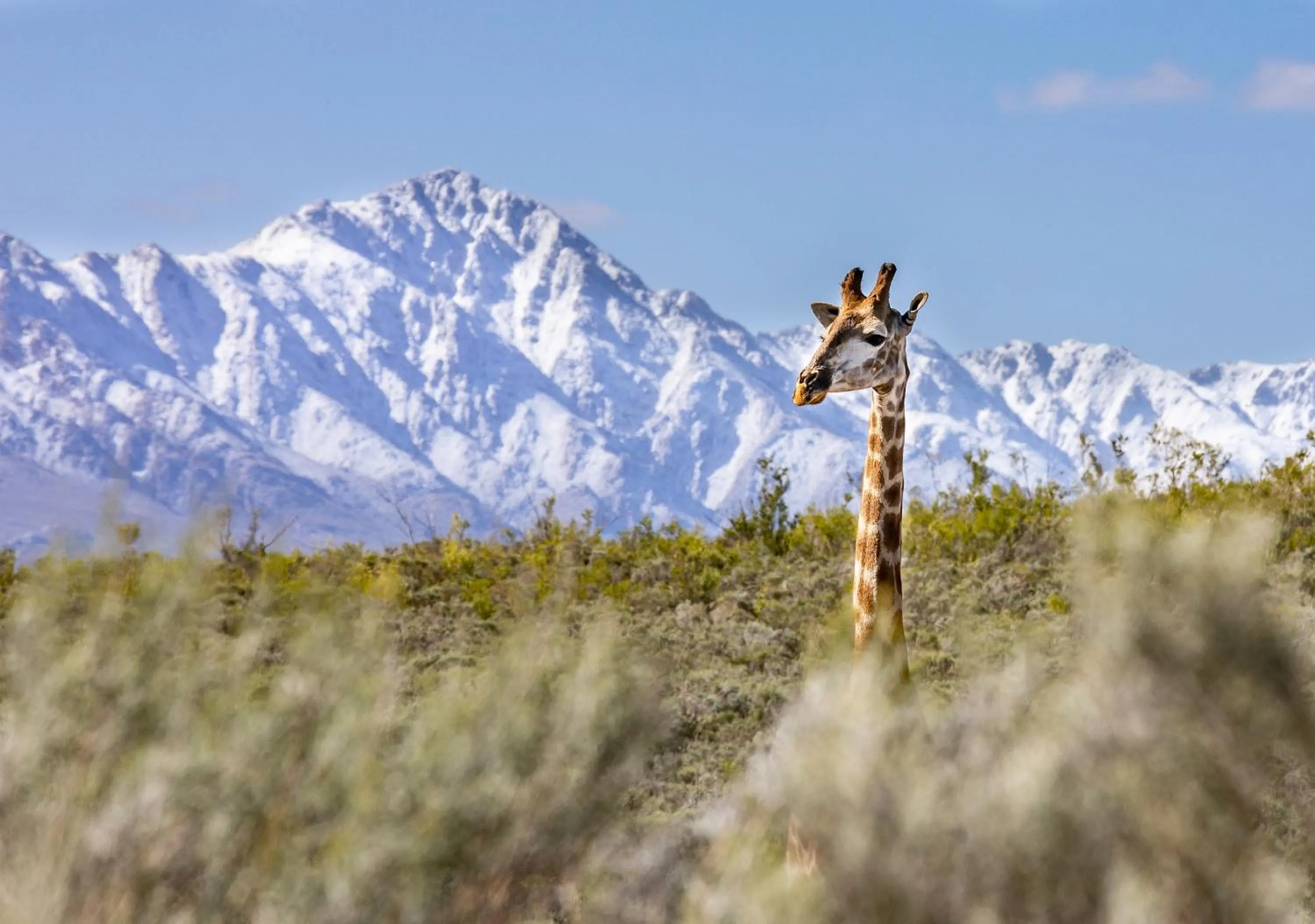 View (from property/room) in Wildehondekloof Game Lodge