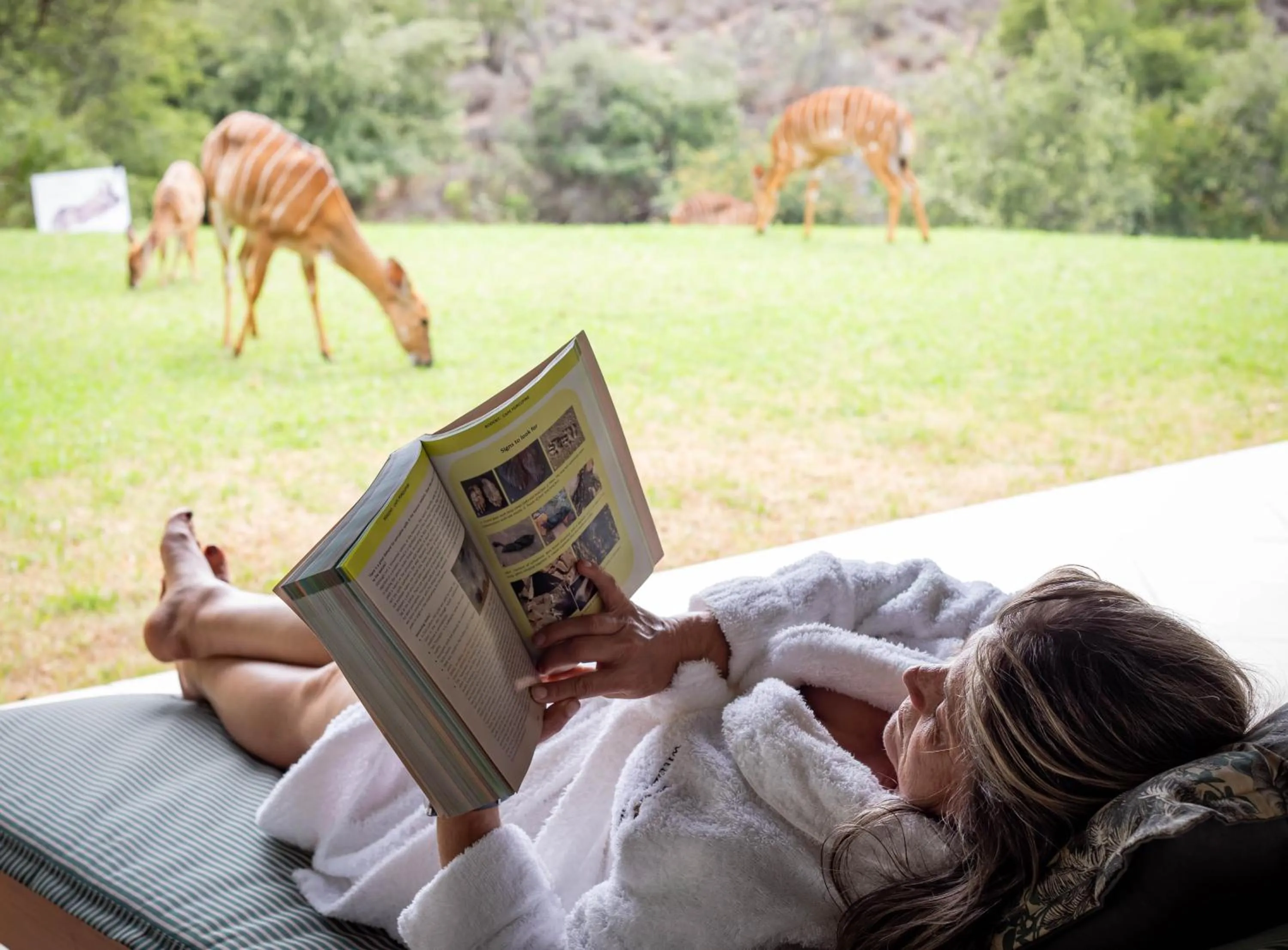 Day in Wildehondekloof Game Lodge