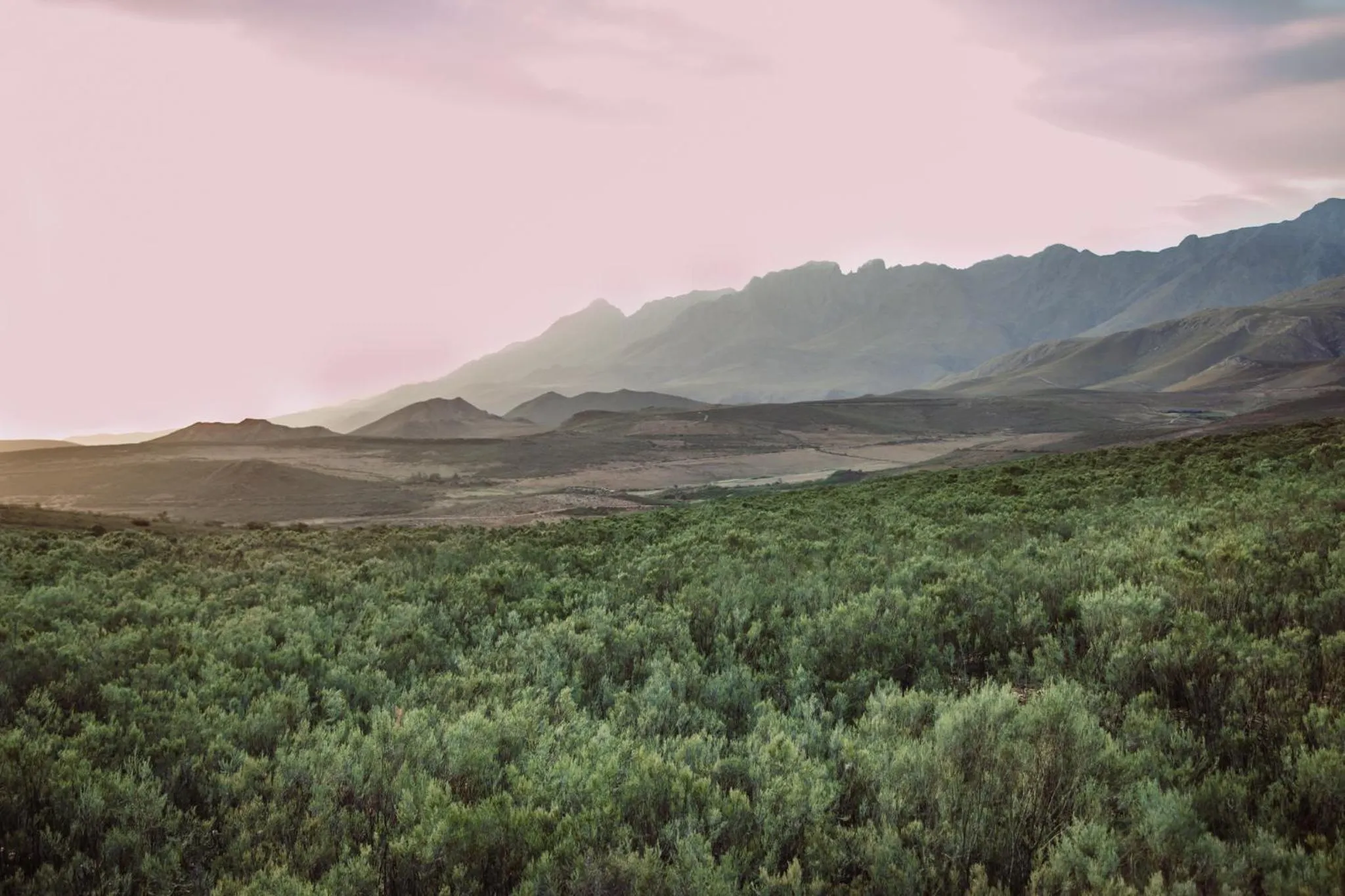 View (from property/room) in Wildehondekloof Game Lodge