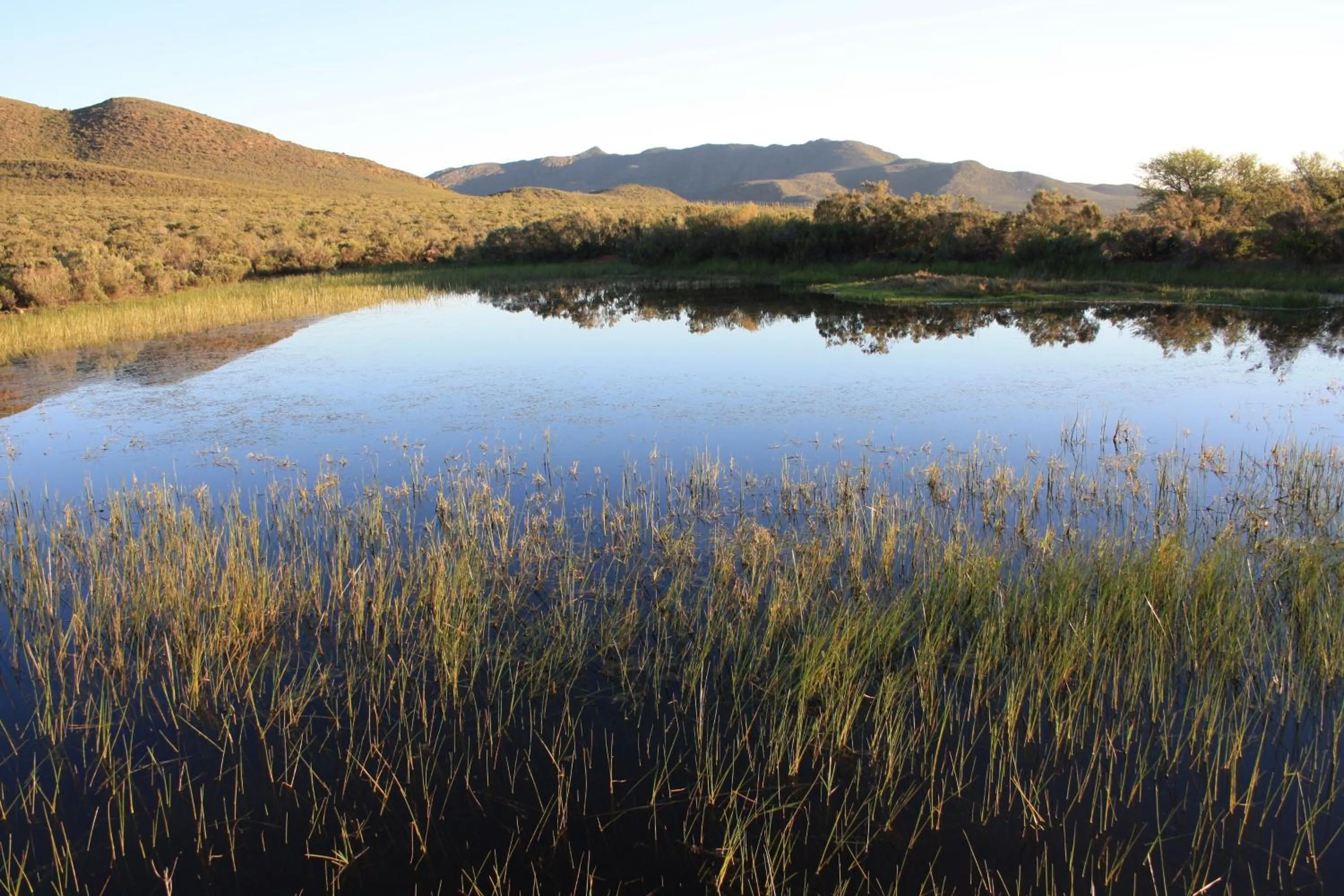 Lake view in Wildehondekloof Game Lodge