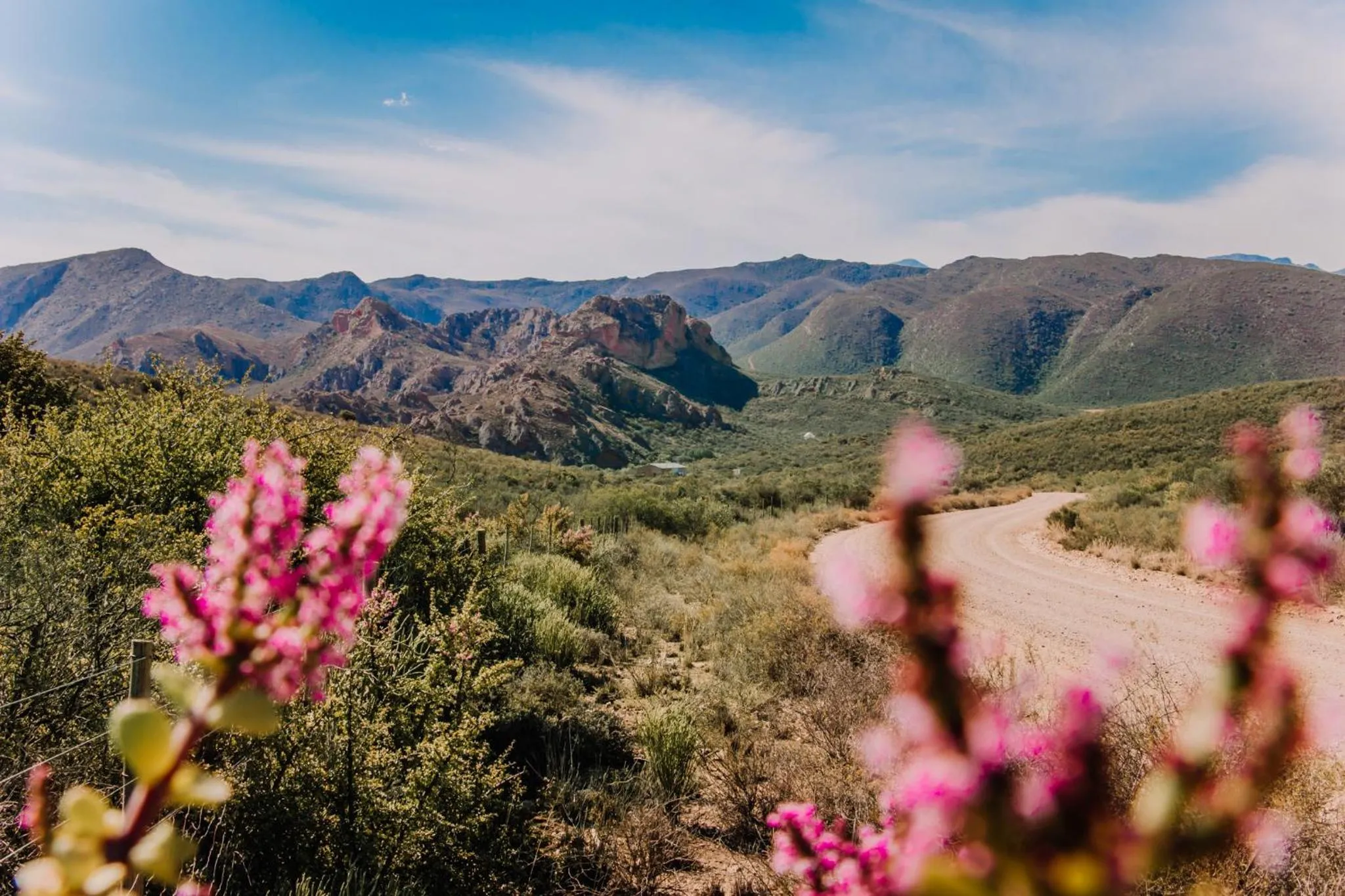 Other in Wildehondekloof Game Lodge