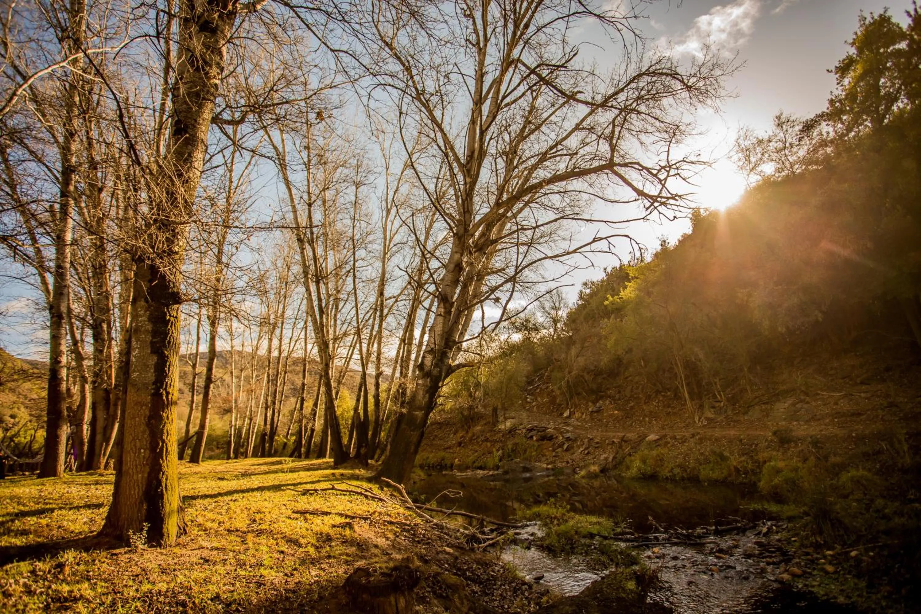 View (from property/room) in Wildehondekloof Game Lodge