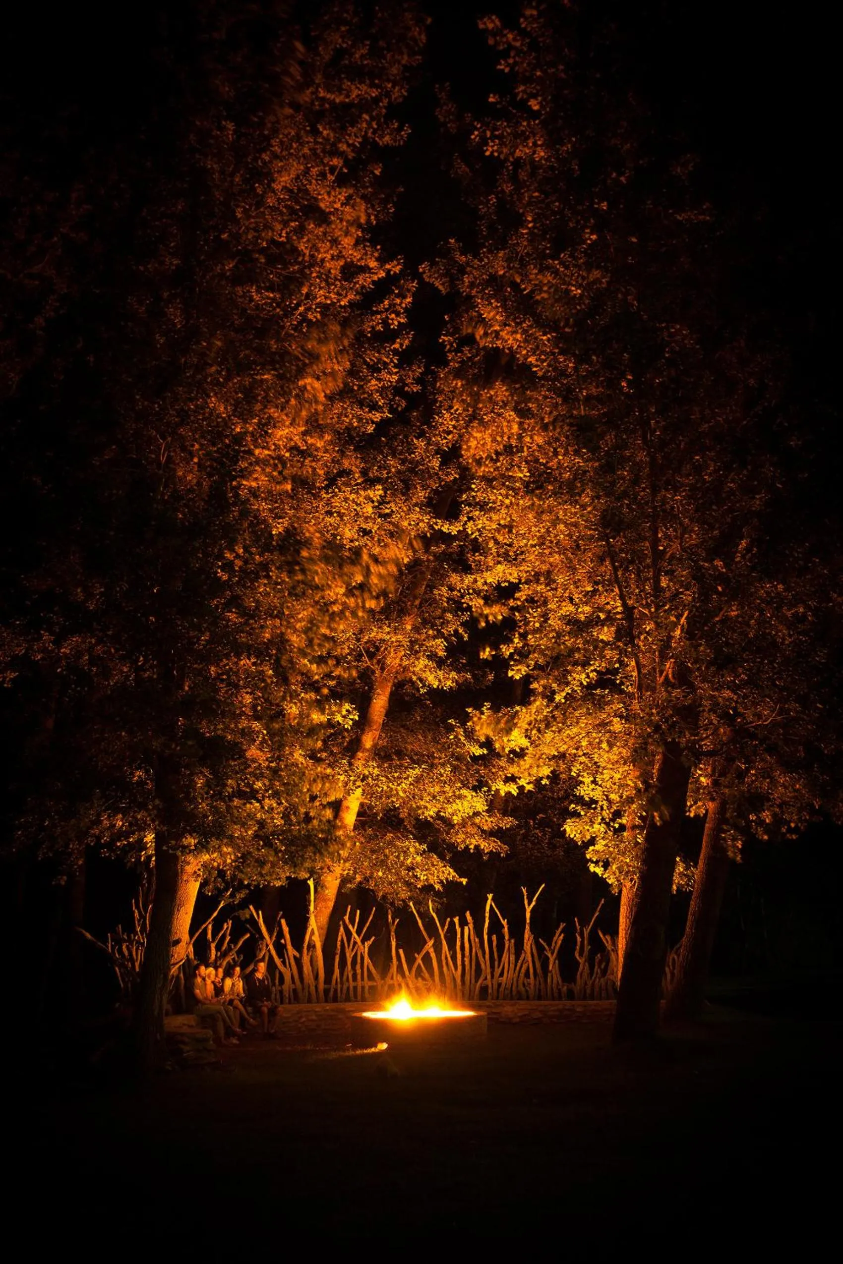 Activities in Wildehondekloof Game Lodge