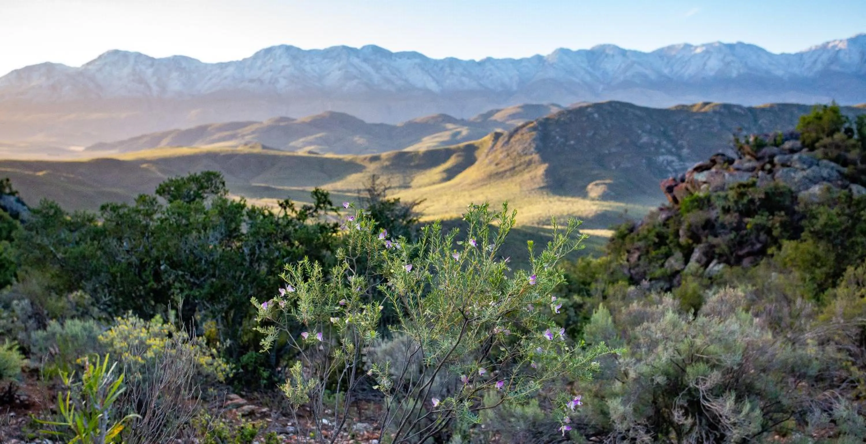 Winter in Wildehondekloof Game Lodge