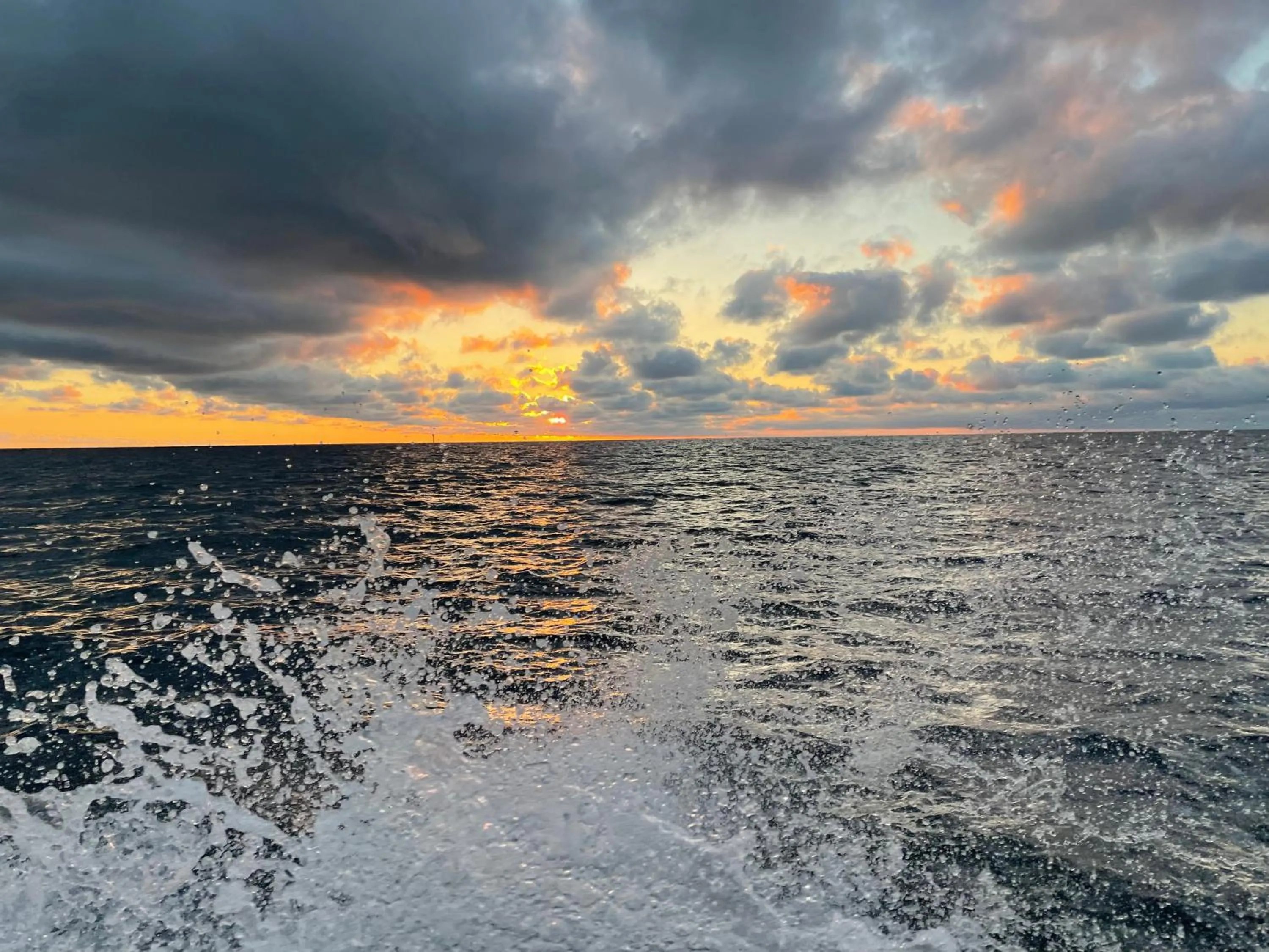 Off site in Le Jardin de LaCoste