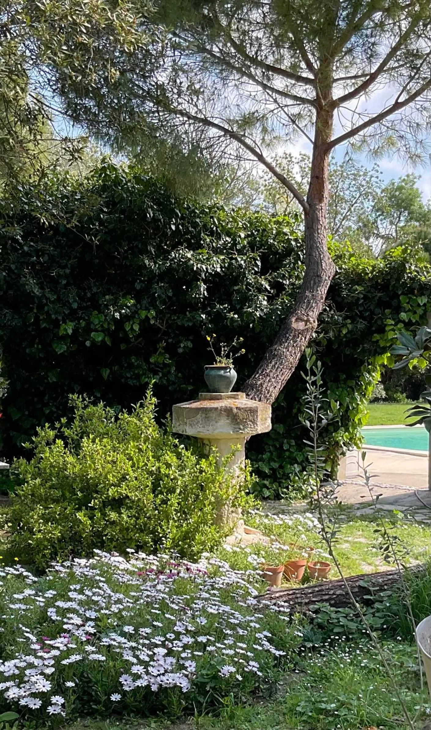 Garden in Le Jardin de LaCoste