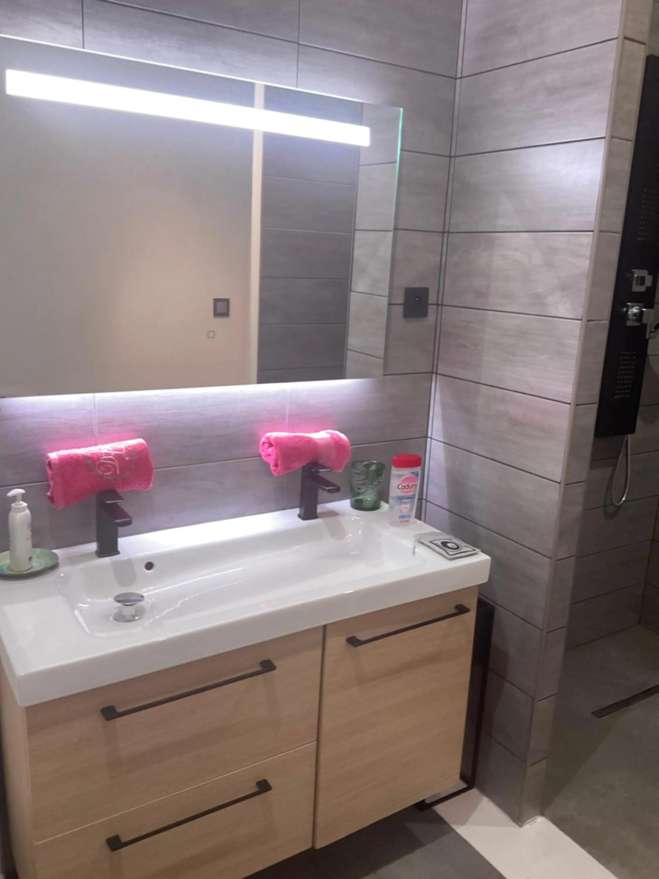 Bathroom in Le Jardin de LaCoste