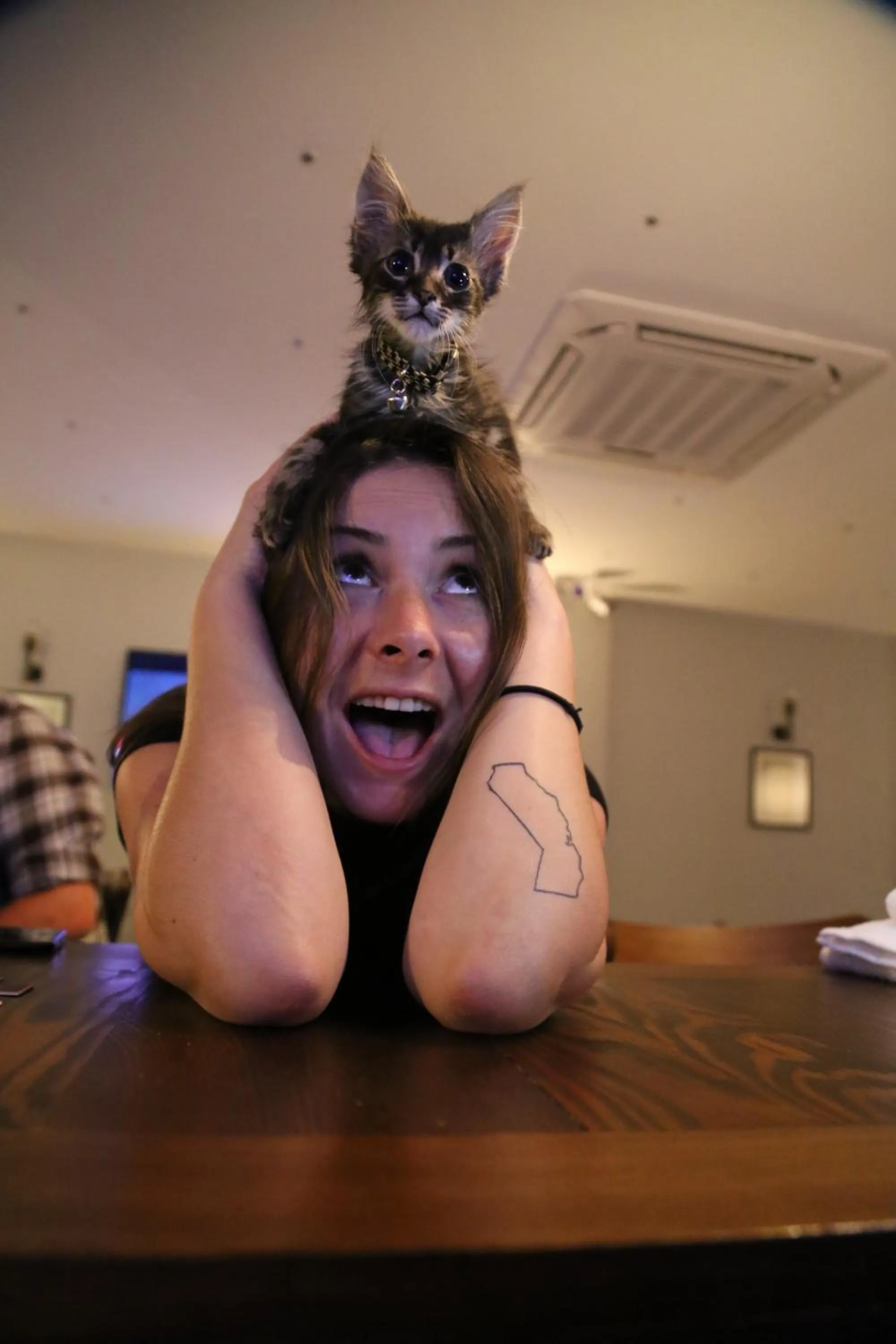 Pets in Hanchi Hostel