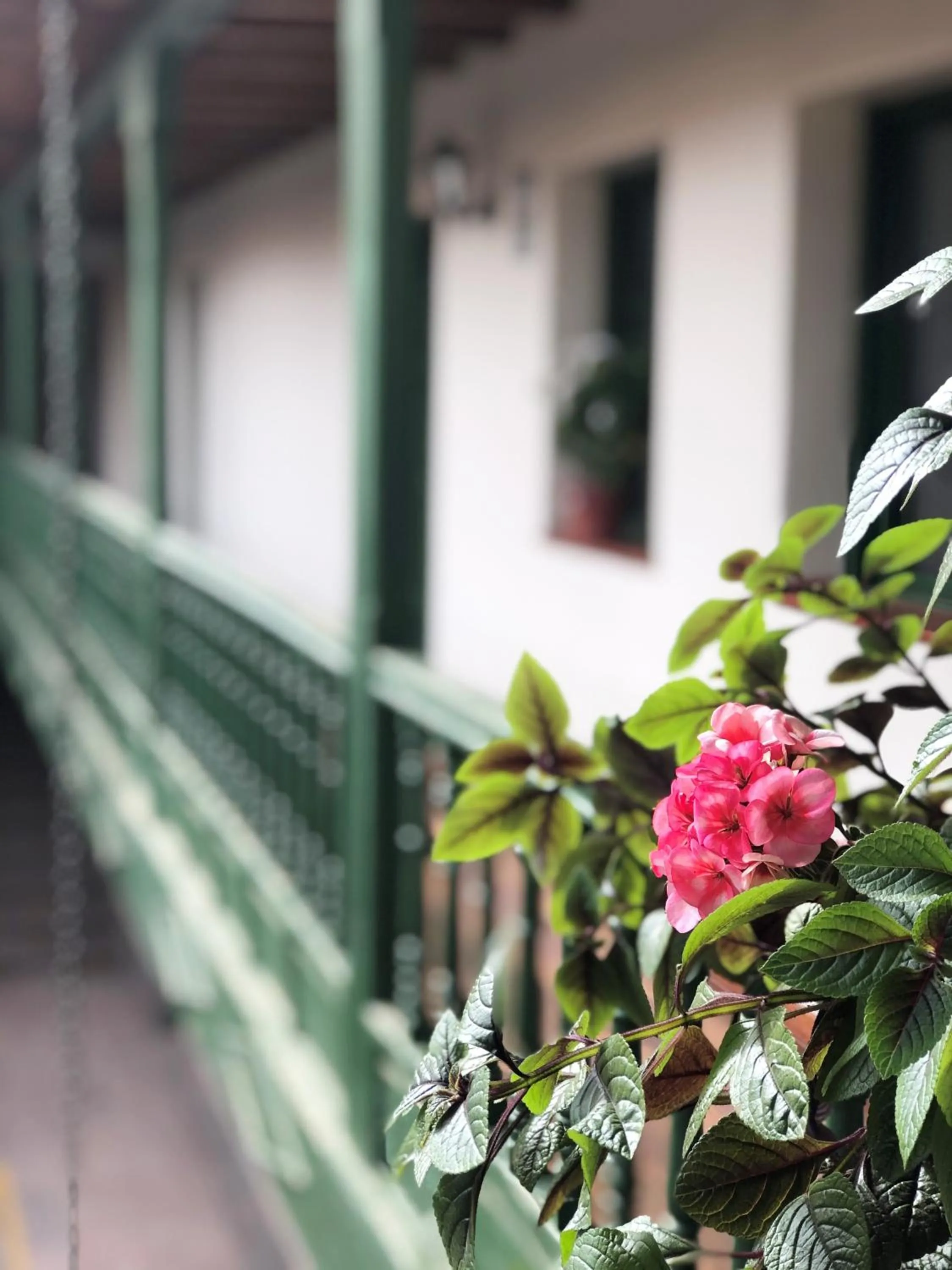Balcony/Terrace in Usgar San Pedro Boutique