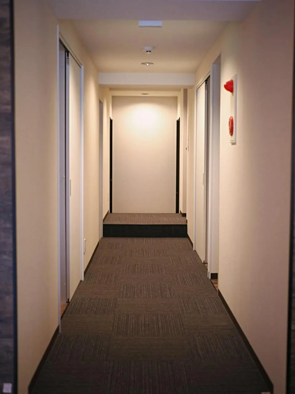 Property building in Saikou