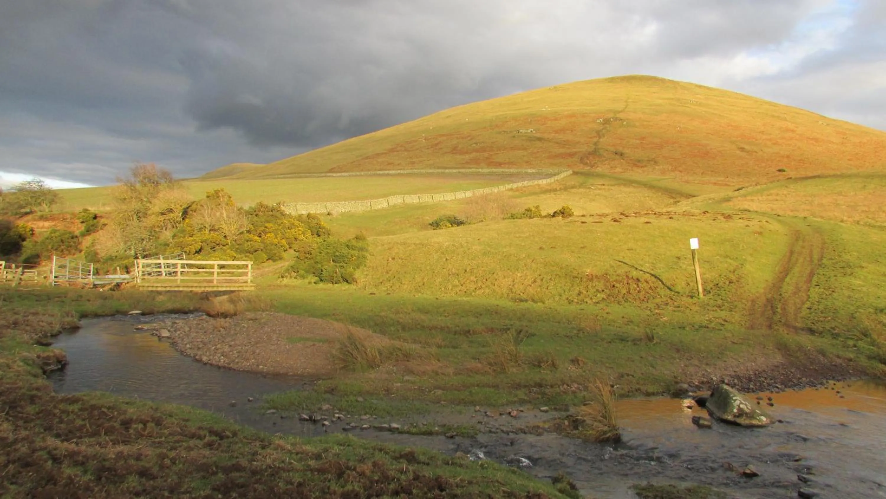 Natural landscape in Mill House