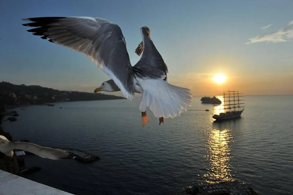 Beach in Sorrento Coast Relais