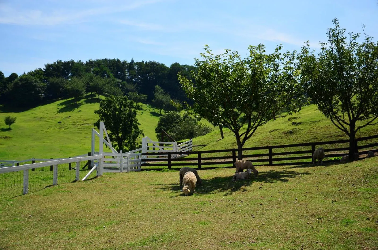Nearby landmark in Hotel Ikaho Ginsui