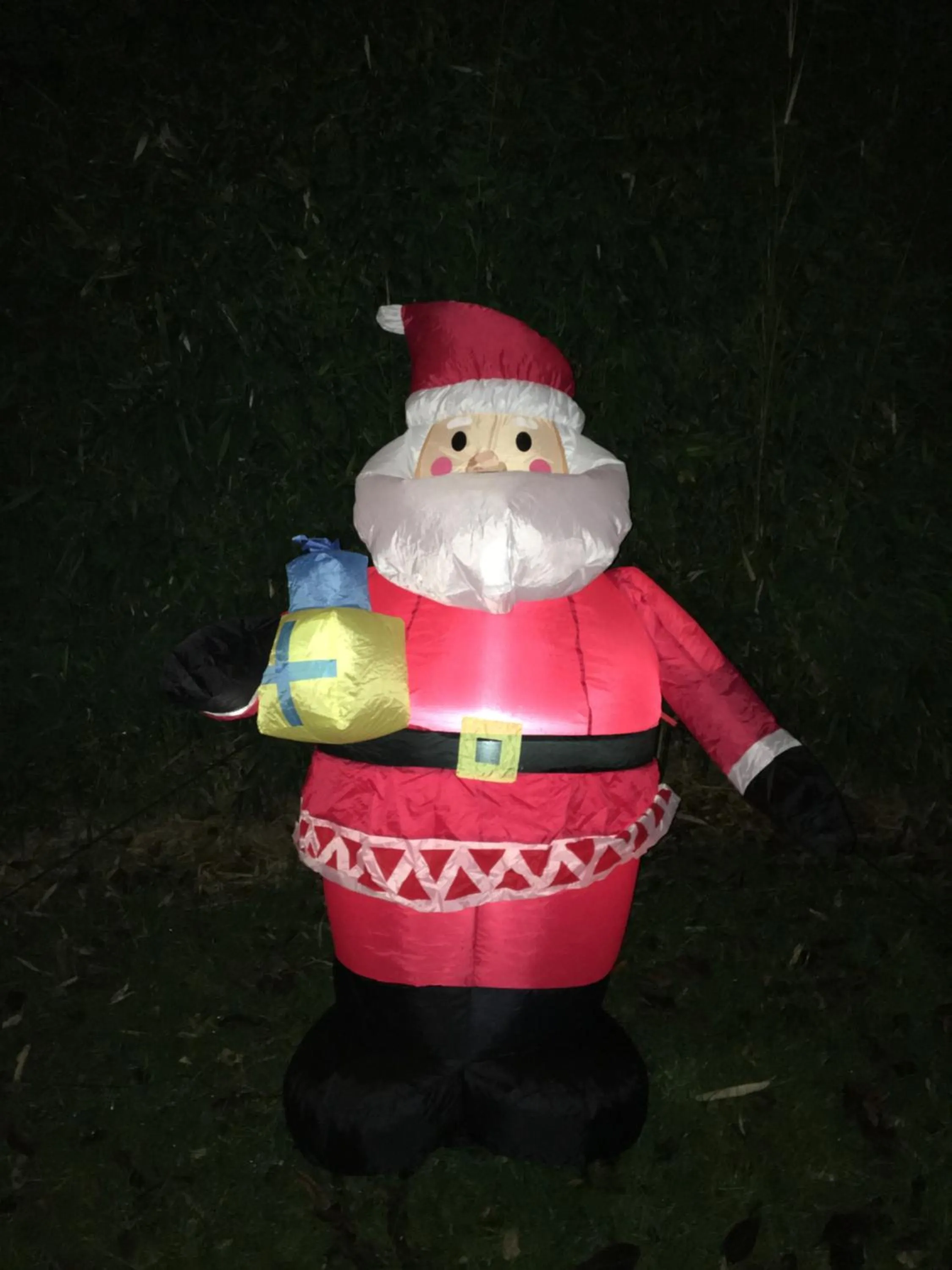 Garden in Queens Guesthouse Manchester