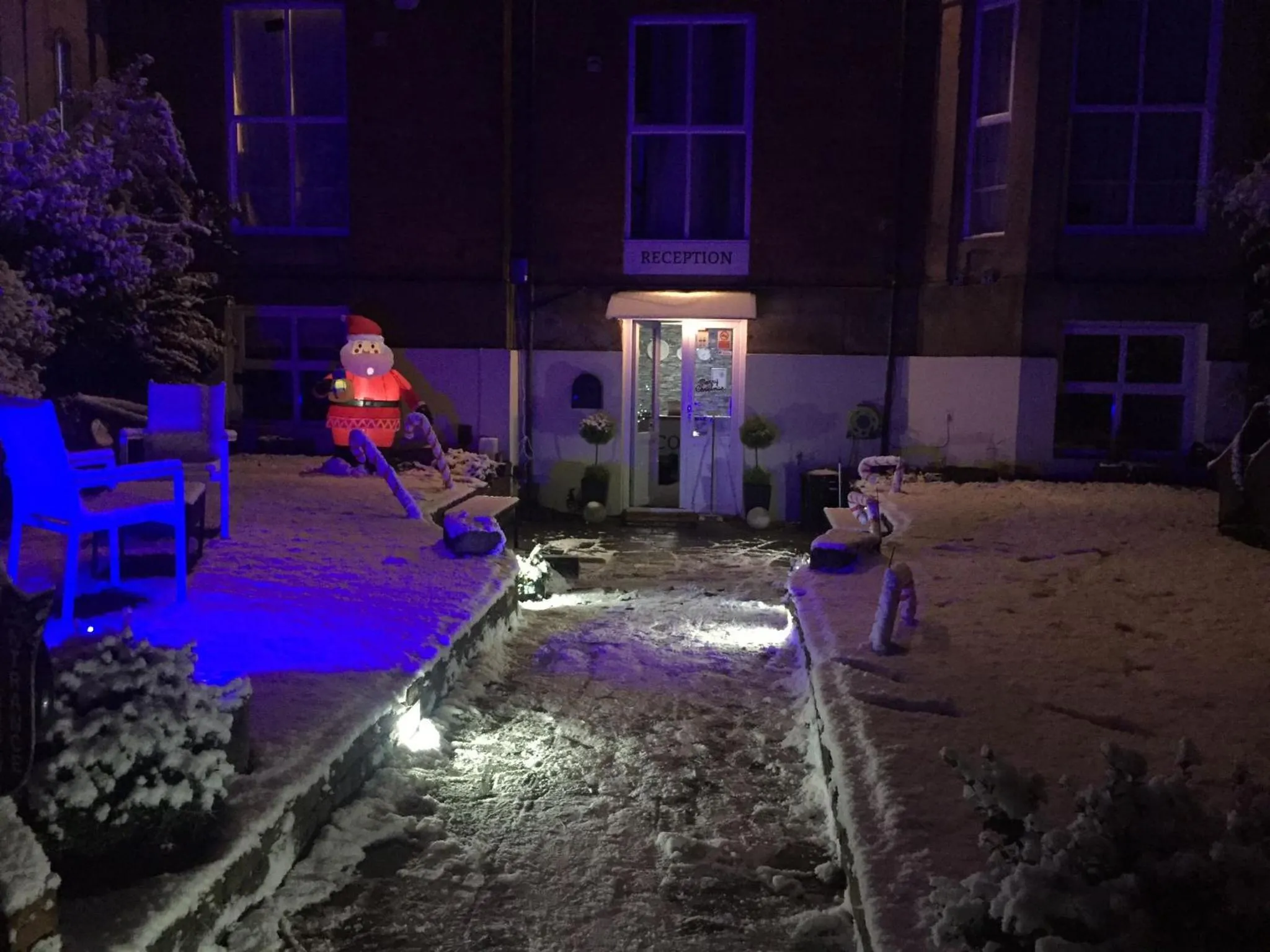 Garden view in Queens Guesthouse Manchester