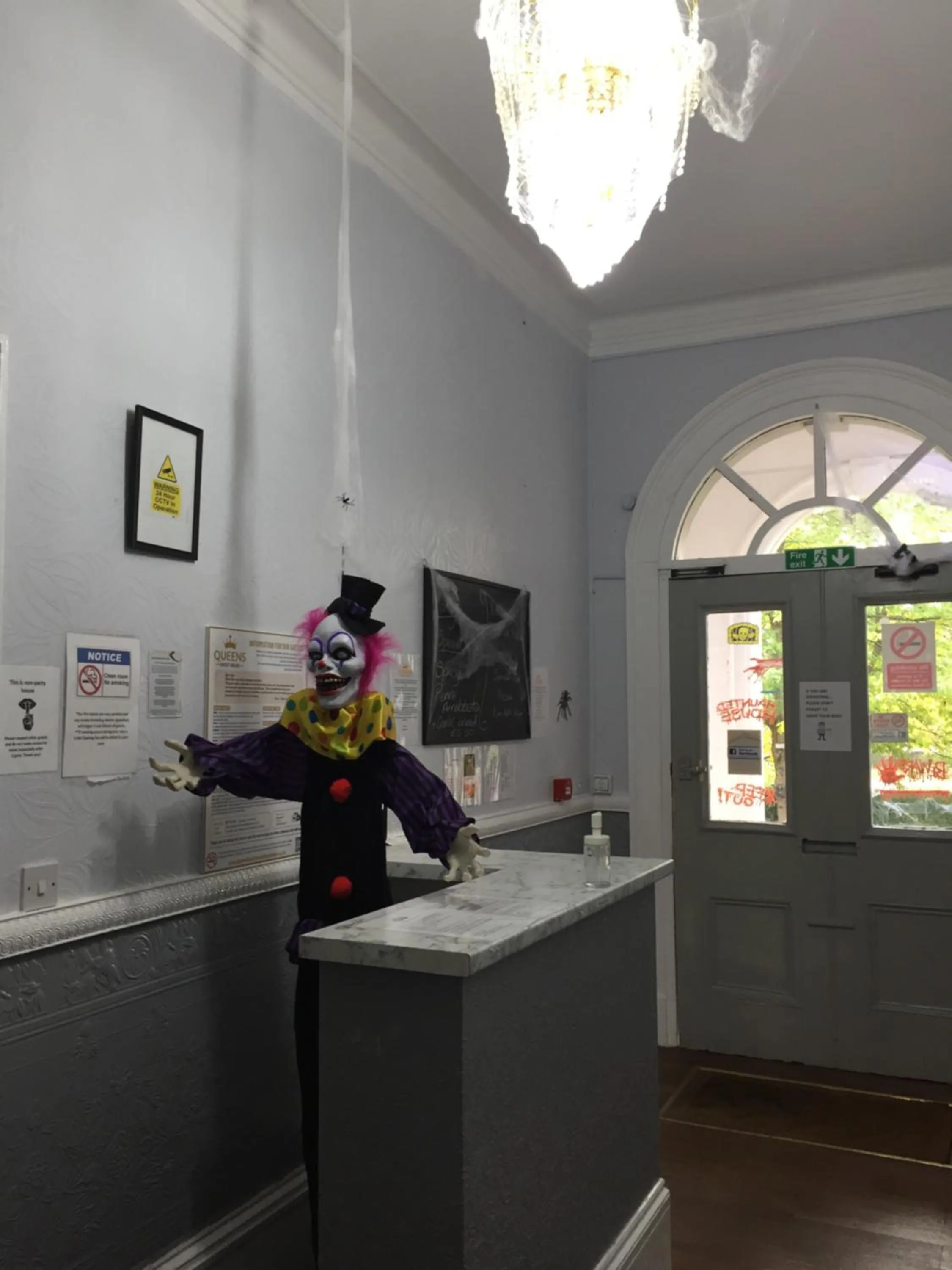 Animals in Queens Guesthouse Manchester