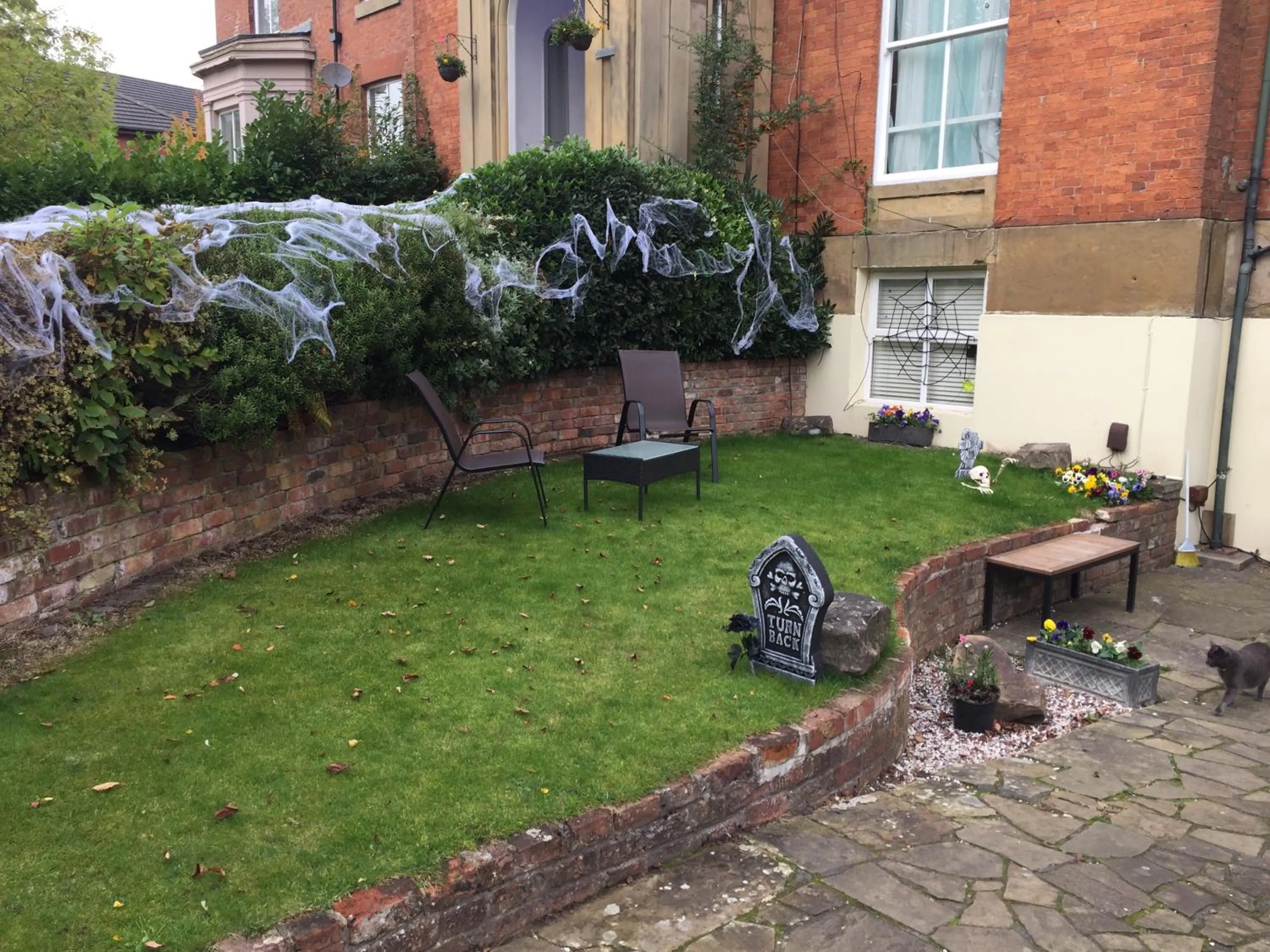 Garden in Queens Guesthouse Manchester