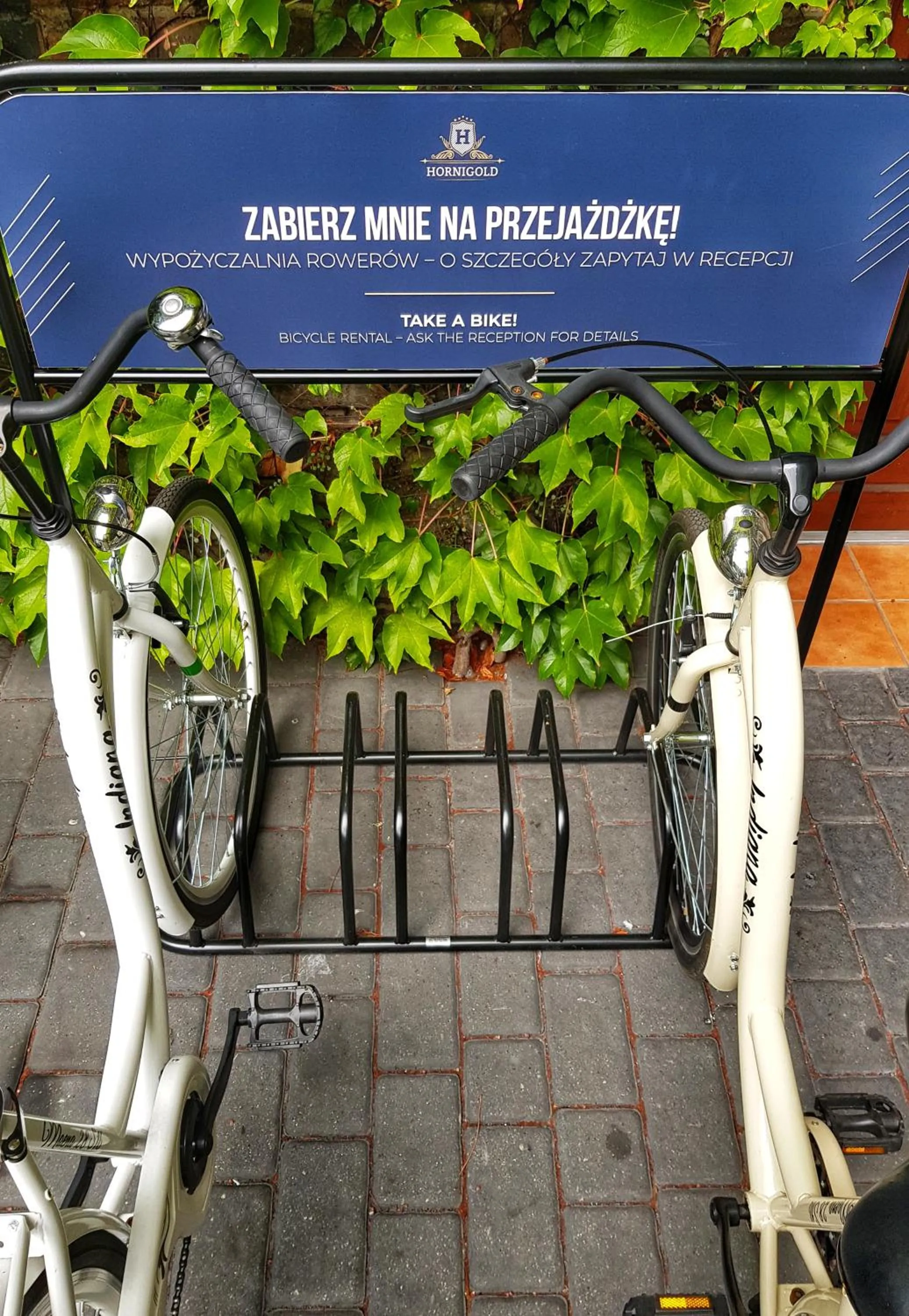 Cycling in Aparthotel Hornigold "W Zielonej Kamienicy"