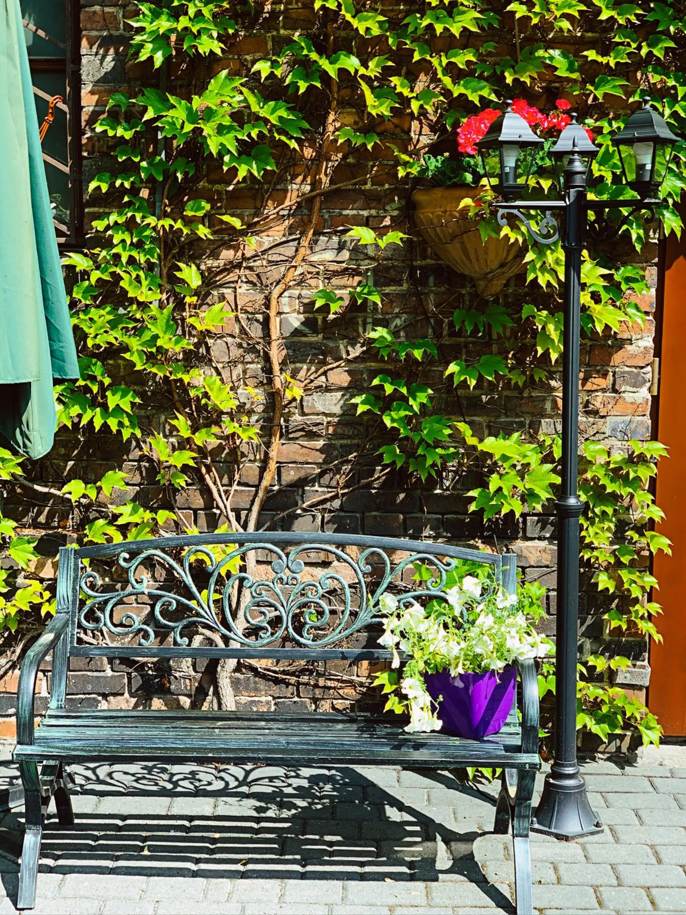 Spring in Aparthotel Hornigold "W Zielonej Kamienicy"