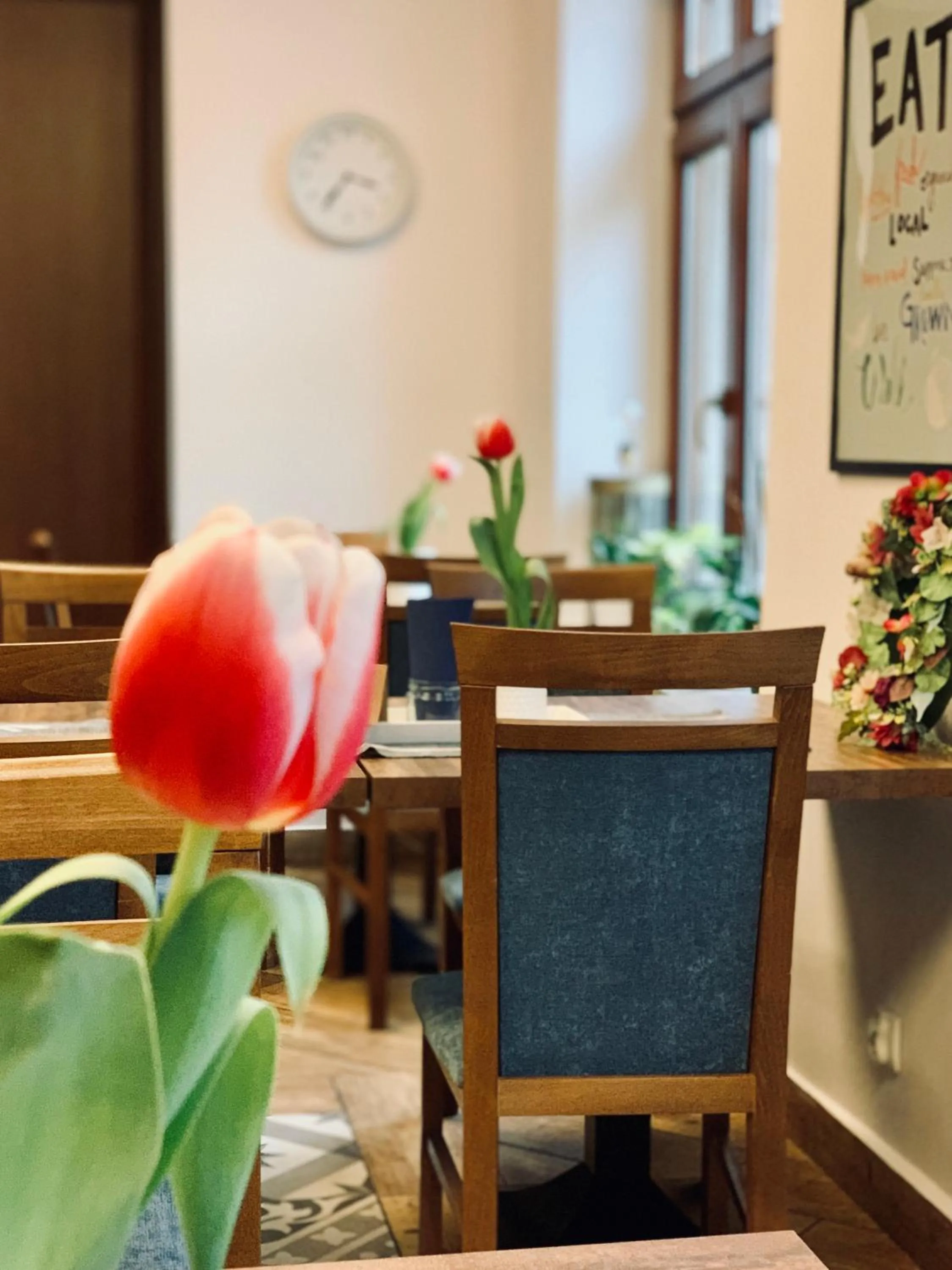 Food and drinks in Aparthotel Hornigold "W Zielonej Kamienicy"