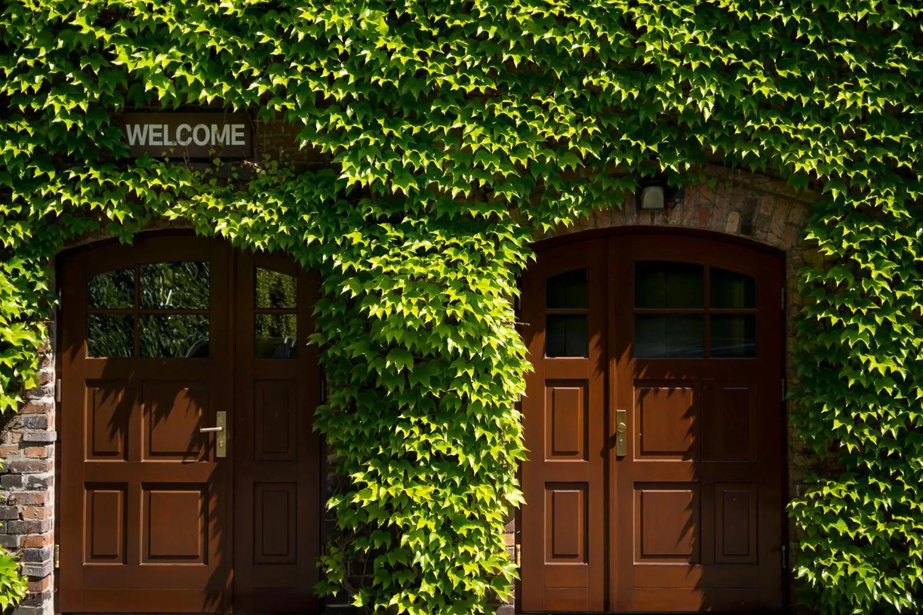 Facade/entrance in Aparthotel Hornigold "W Zielonej Kamienicy"