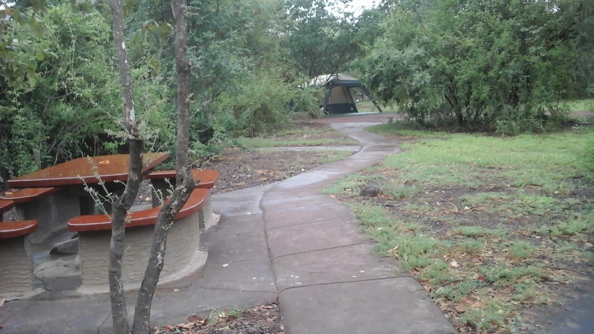 Garden view in Copacopa Lodge and Conference Centre
