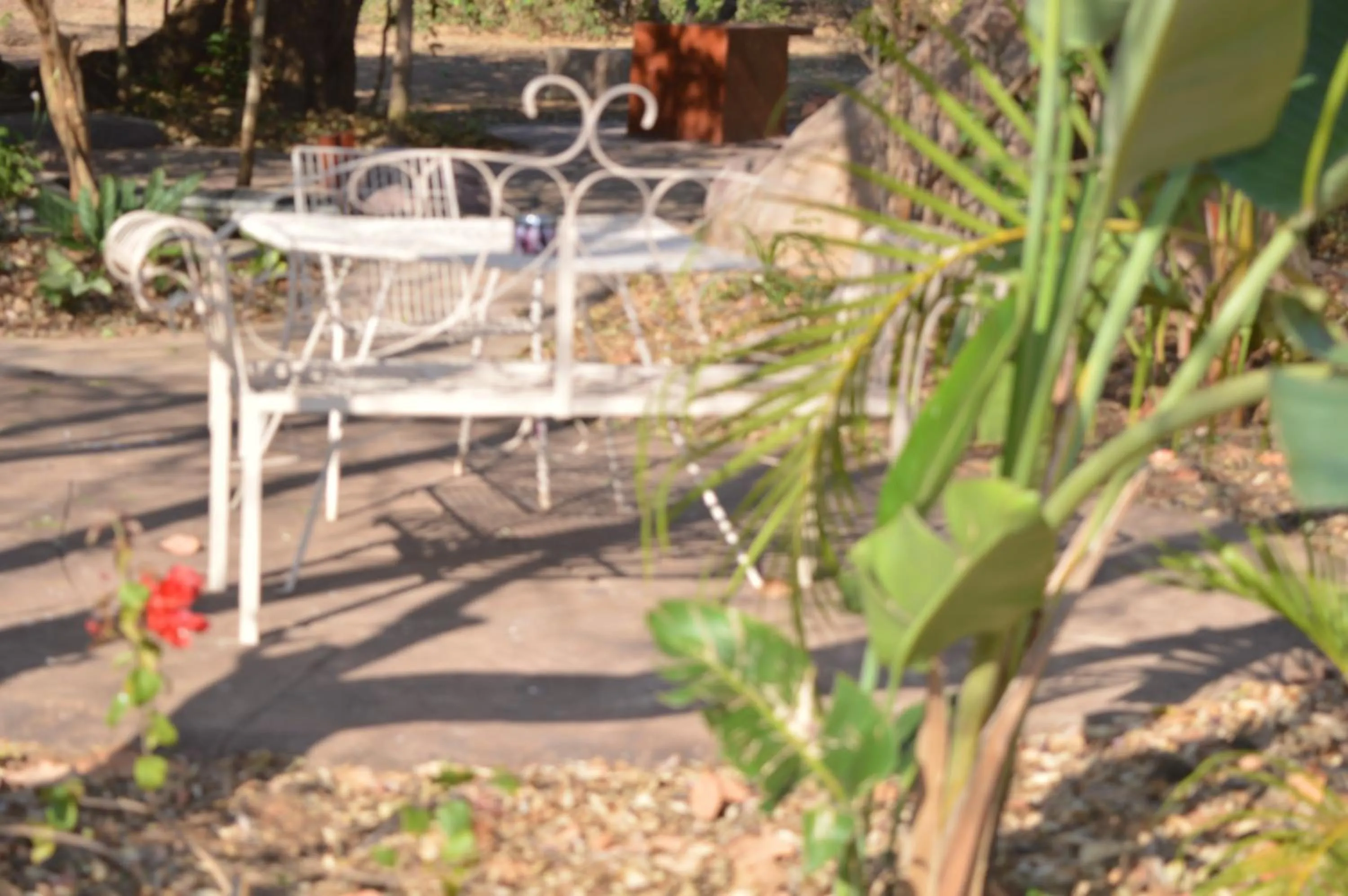 Garden in Copacopa Lodge and Conference Centre