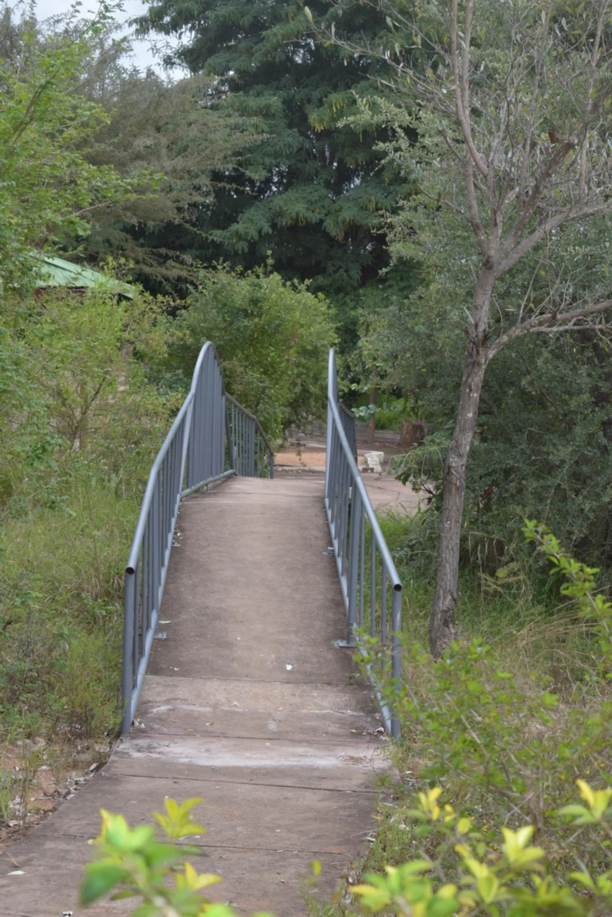 Natural landscape in Copacopa Lodge and Conference Centre