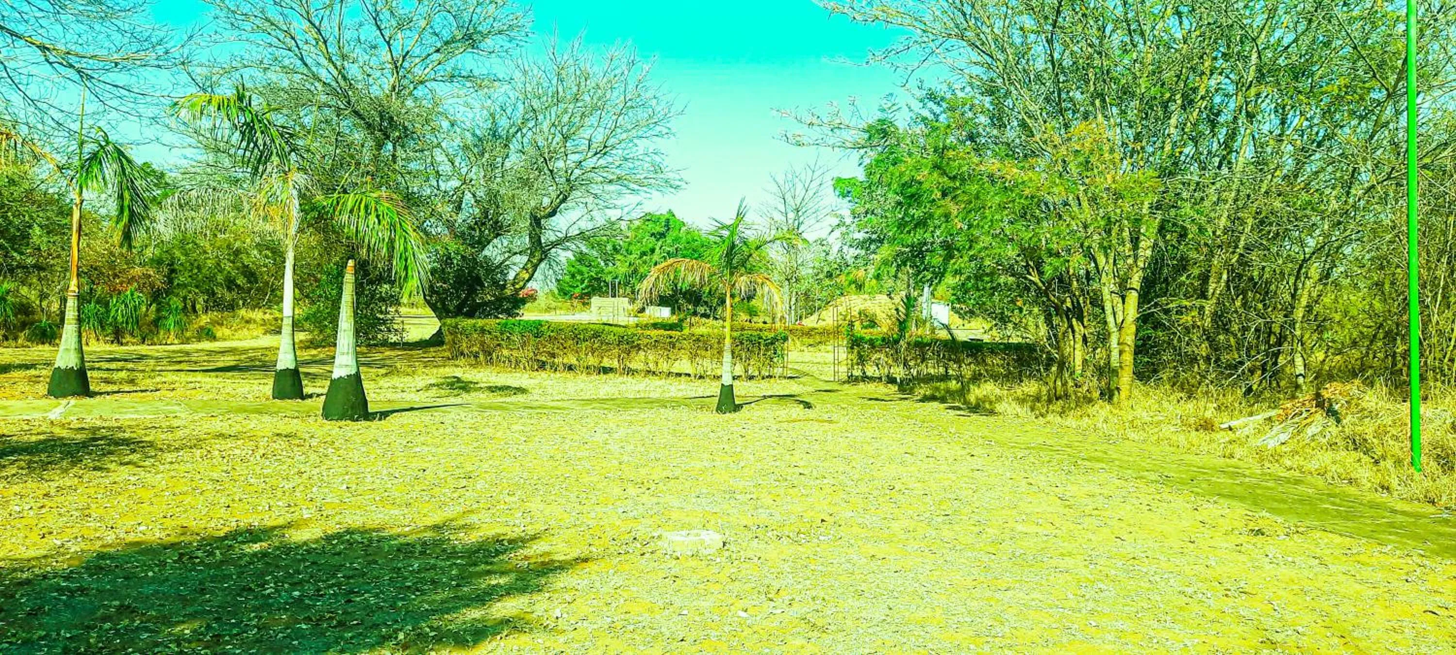 Garden view in Copacopa Lodge and Conference Centre