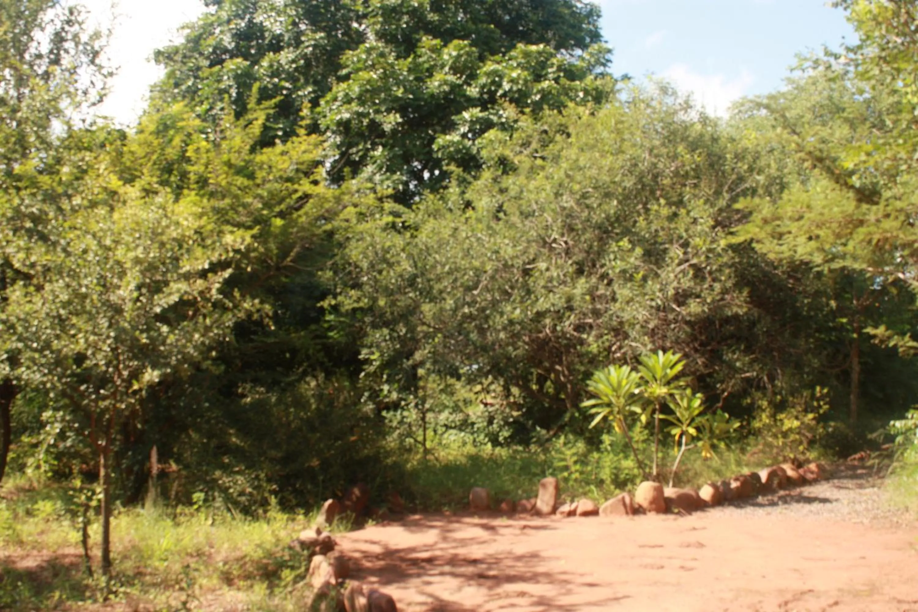 Garden in Copacopa Lodge and Conference Centre