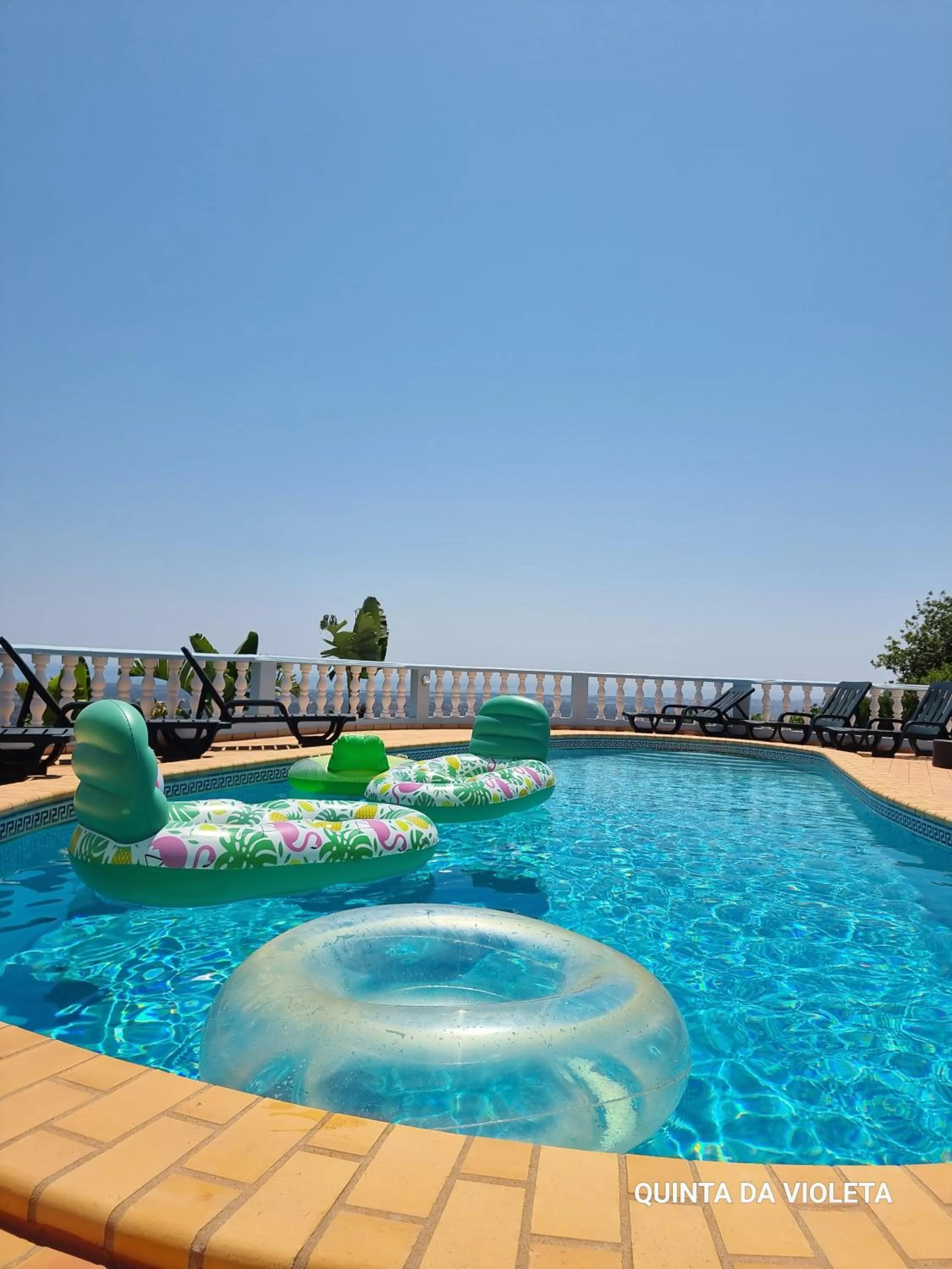 Swimming pool in Villa Quinta da Violeta