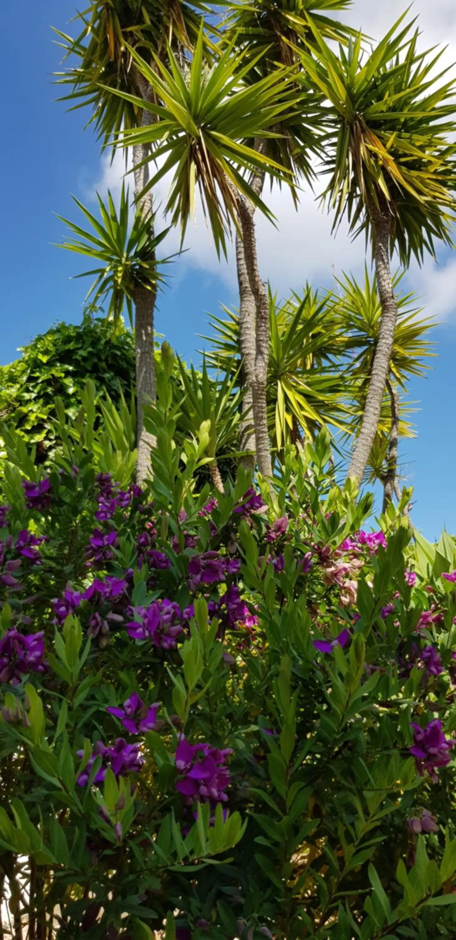 Natural landscape in Villa Quinta da Violeta