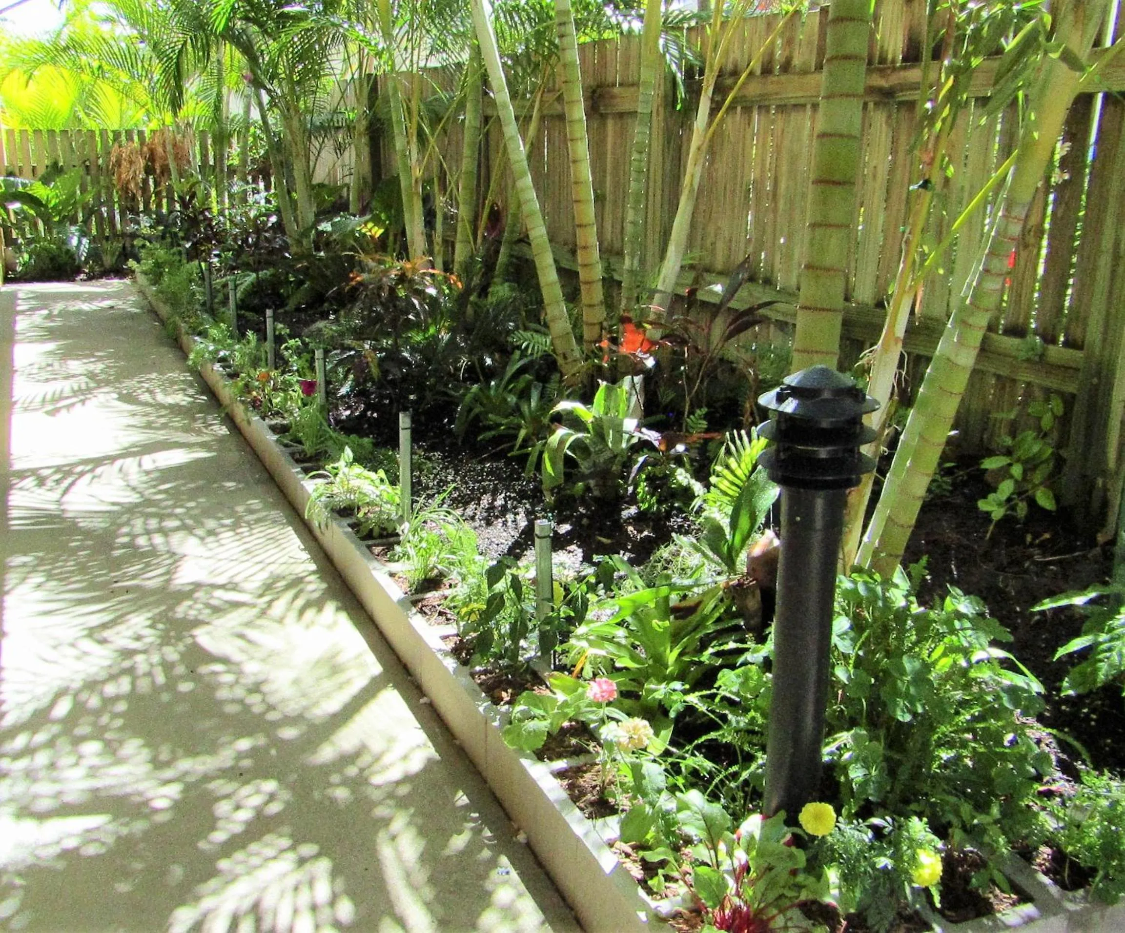 Garden in Sunlit Waters Studio Apartments