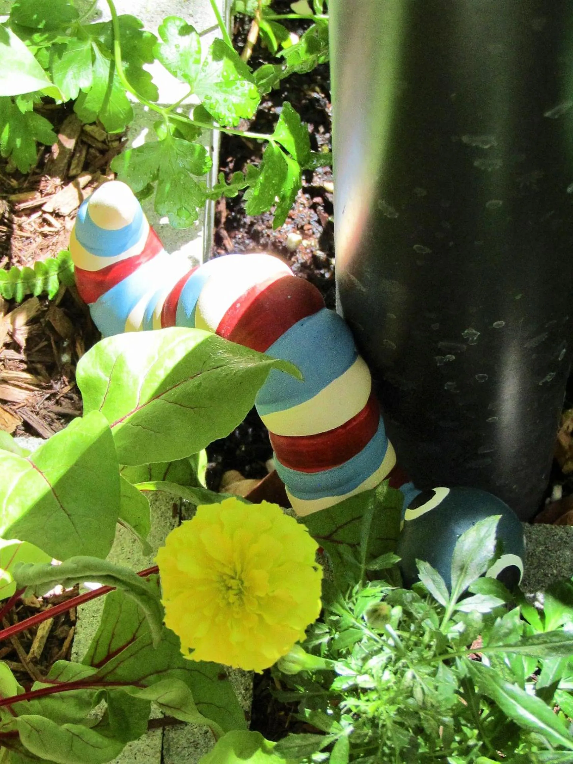 View (from property/room) in Sunlit Waters Studio Apartments