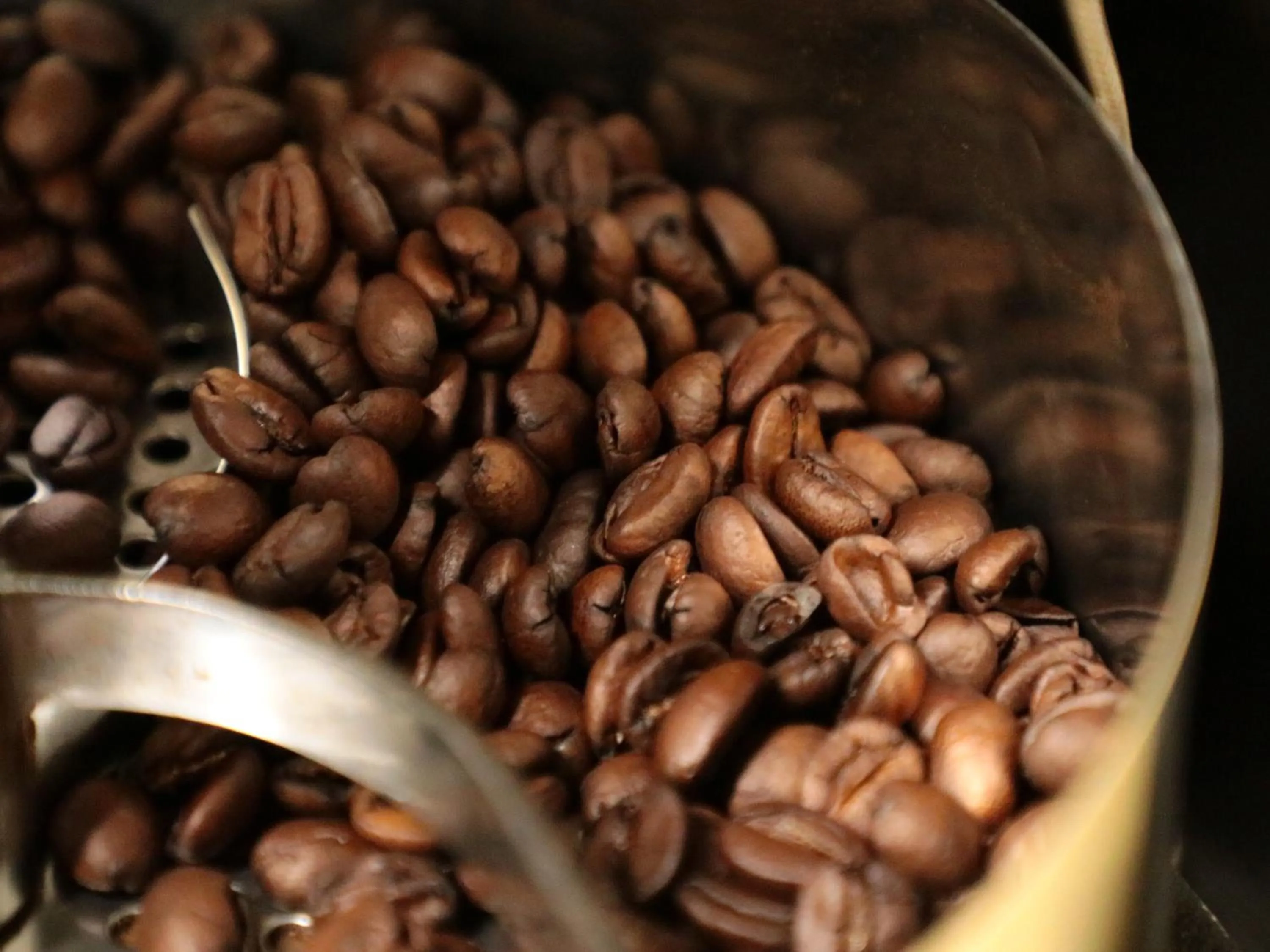 room service in Business Ryokan Iroha