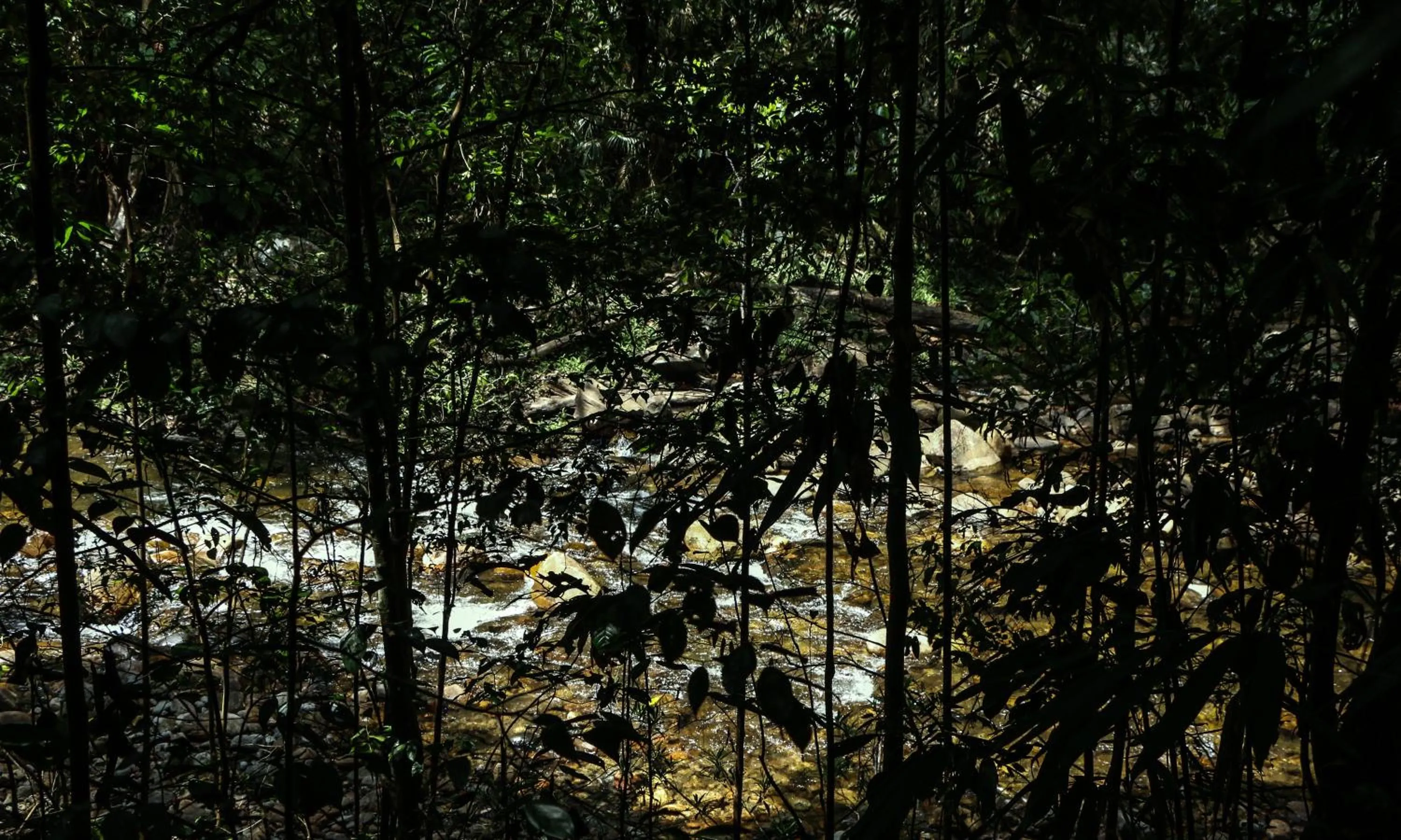 Natural landscape in Lavenro Hotel & Resort