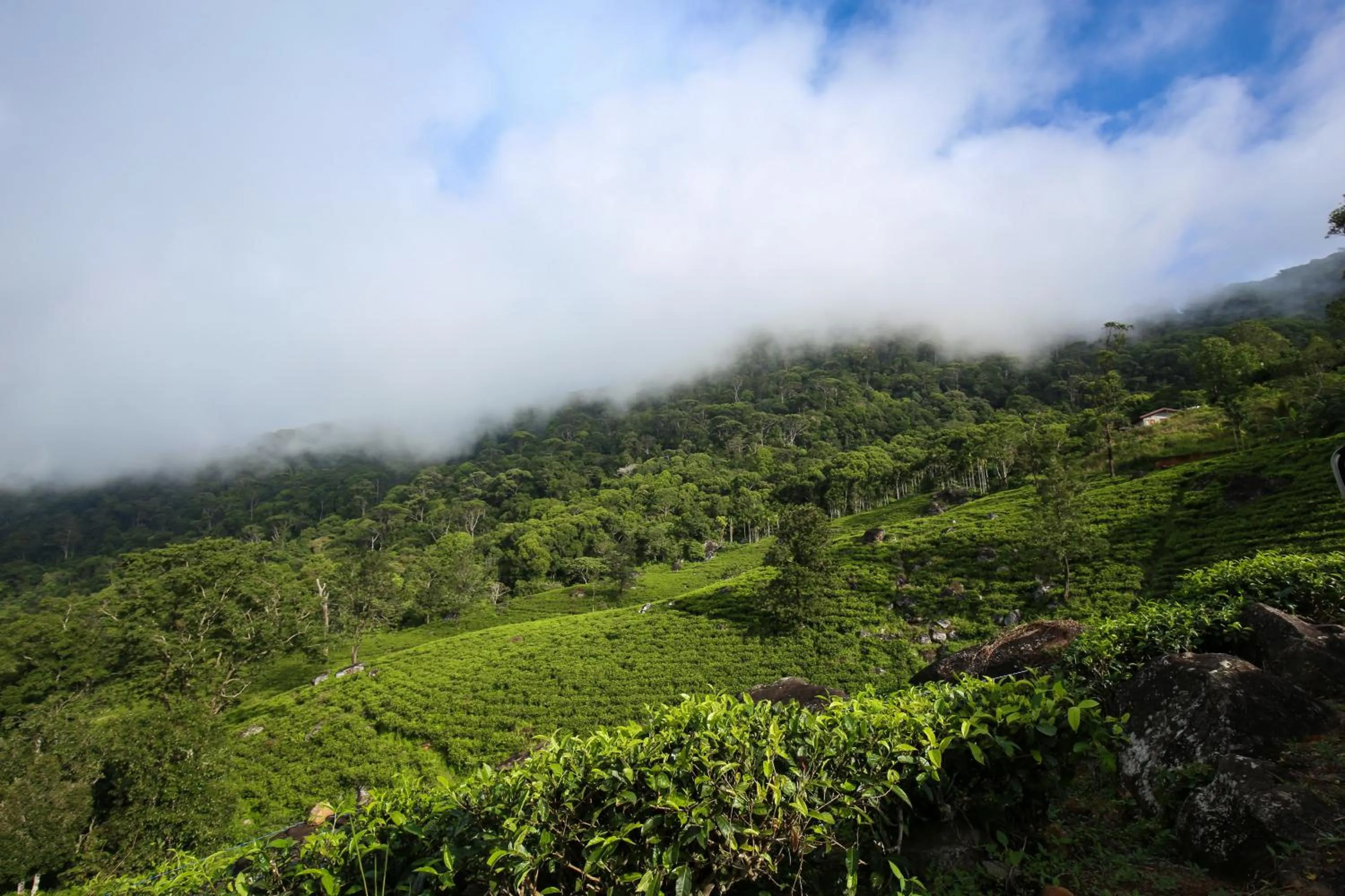 Nearby landmark in Lavenro Hotel & Resort