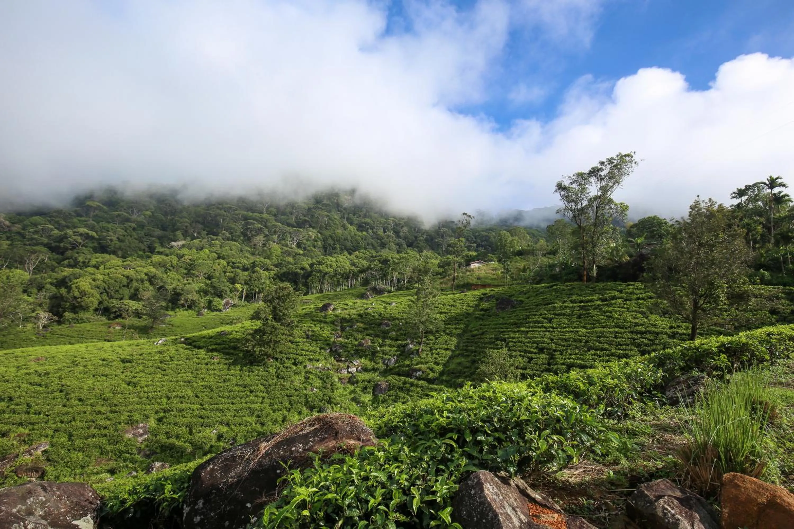 Nearby landmark in Lavenro Hotel & Resort