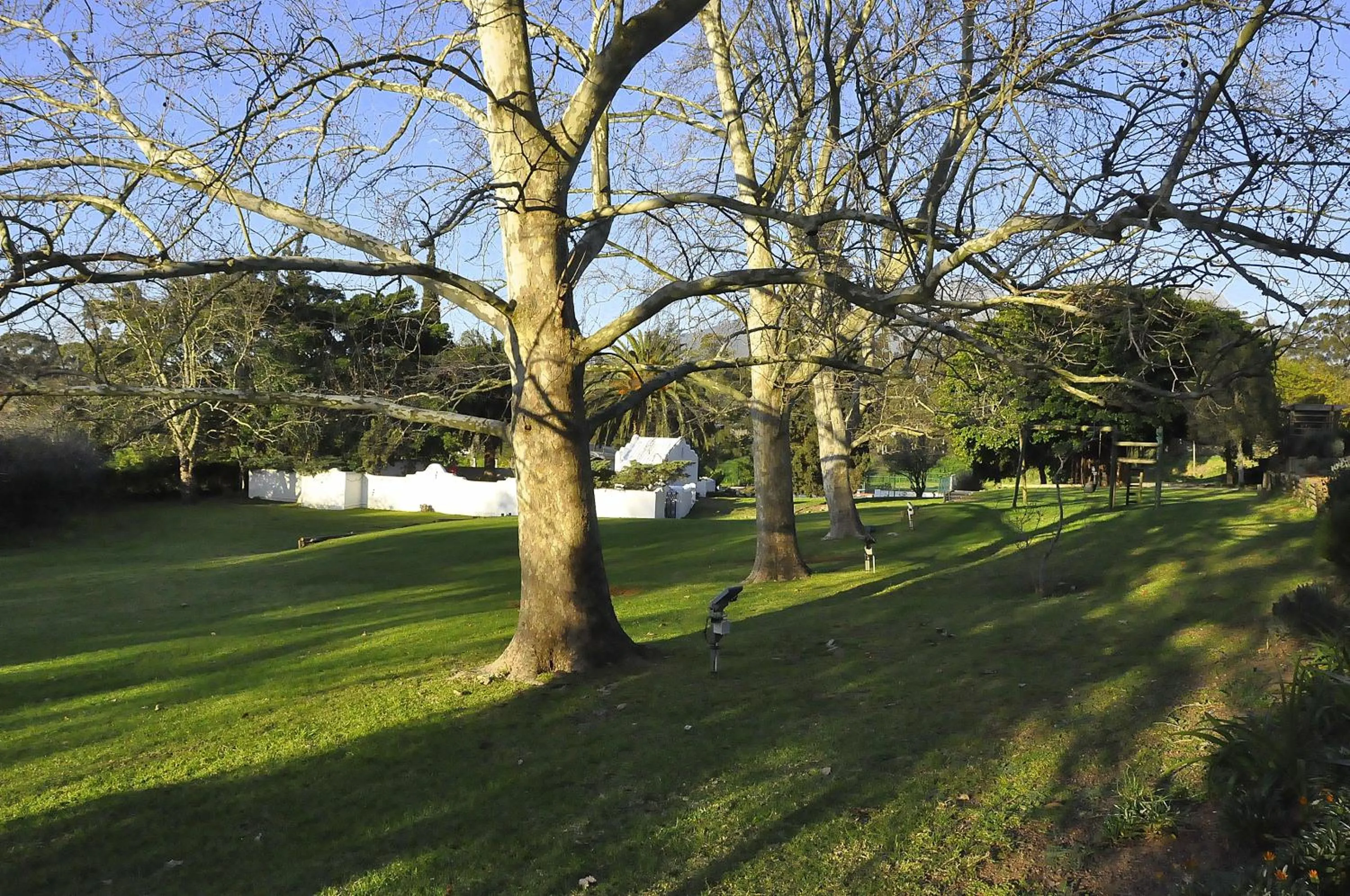 Garden view in Slaley Country House