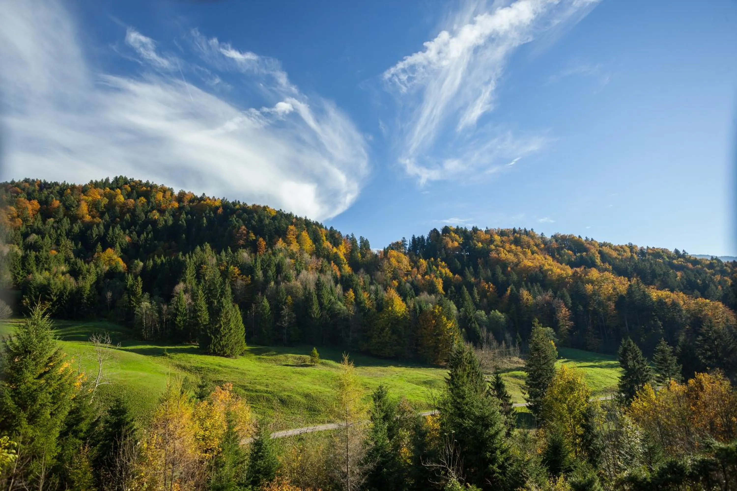 Day in Hotel Bad Rain mit Oberstaufen PlusGolf