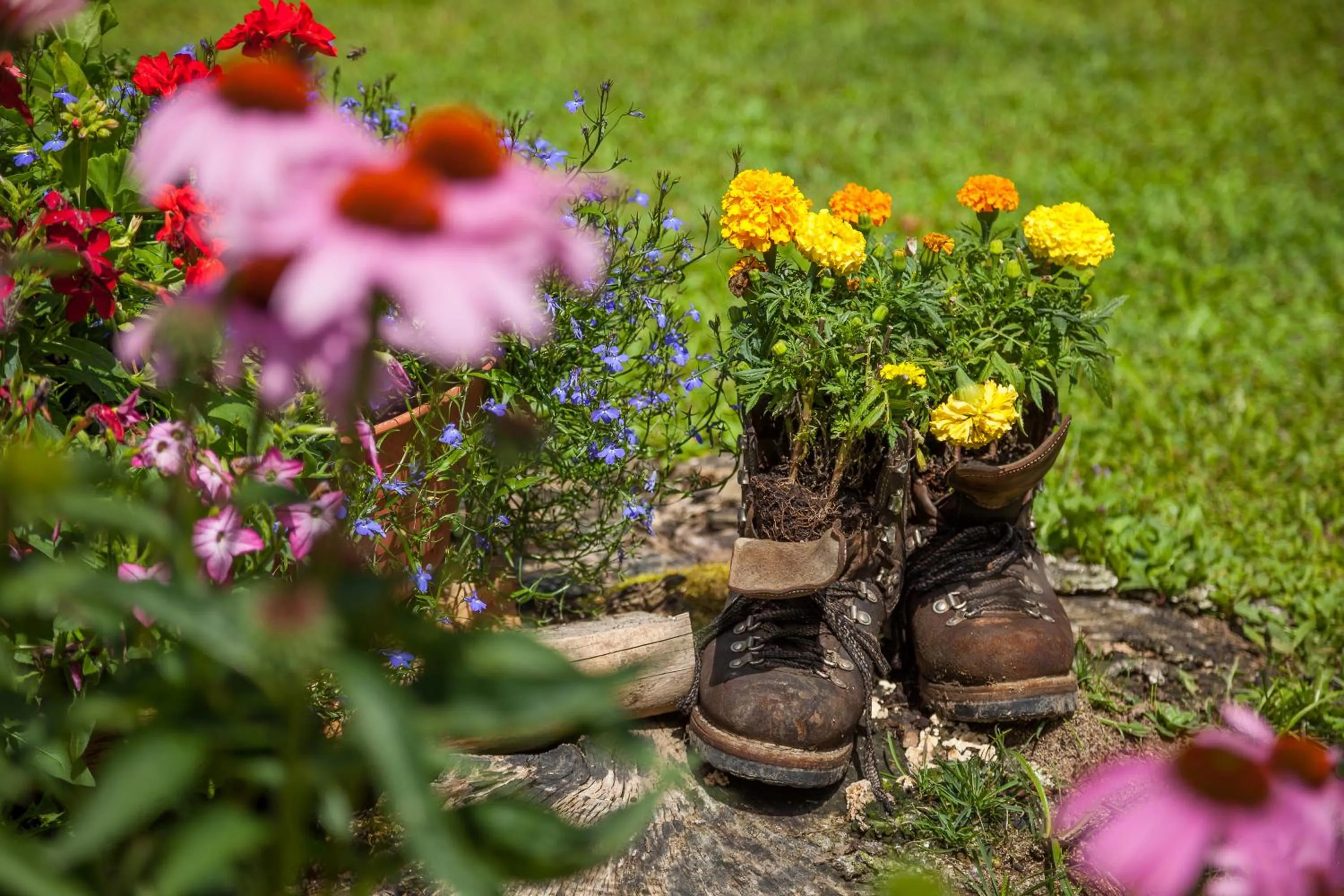 Day in Hotel Bad Rain mit Oberstaufen PlusGolf